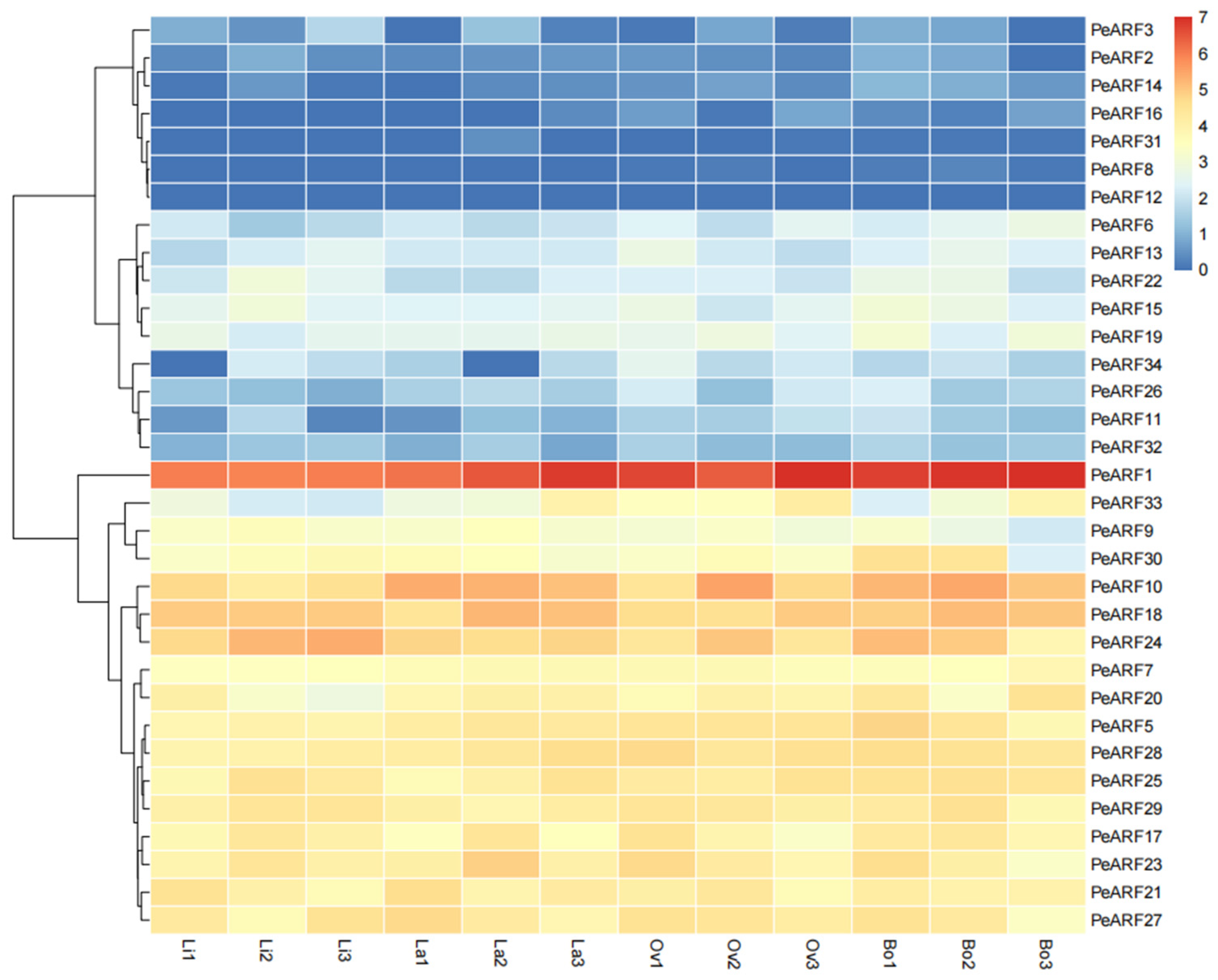 Plants 14 01248 g007 Plants 14 01248 g007