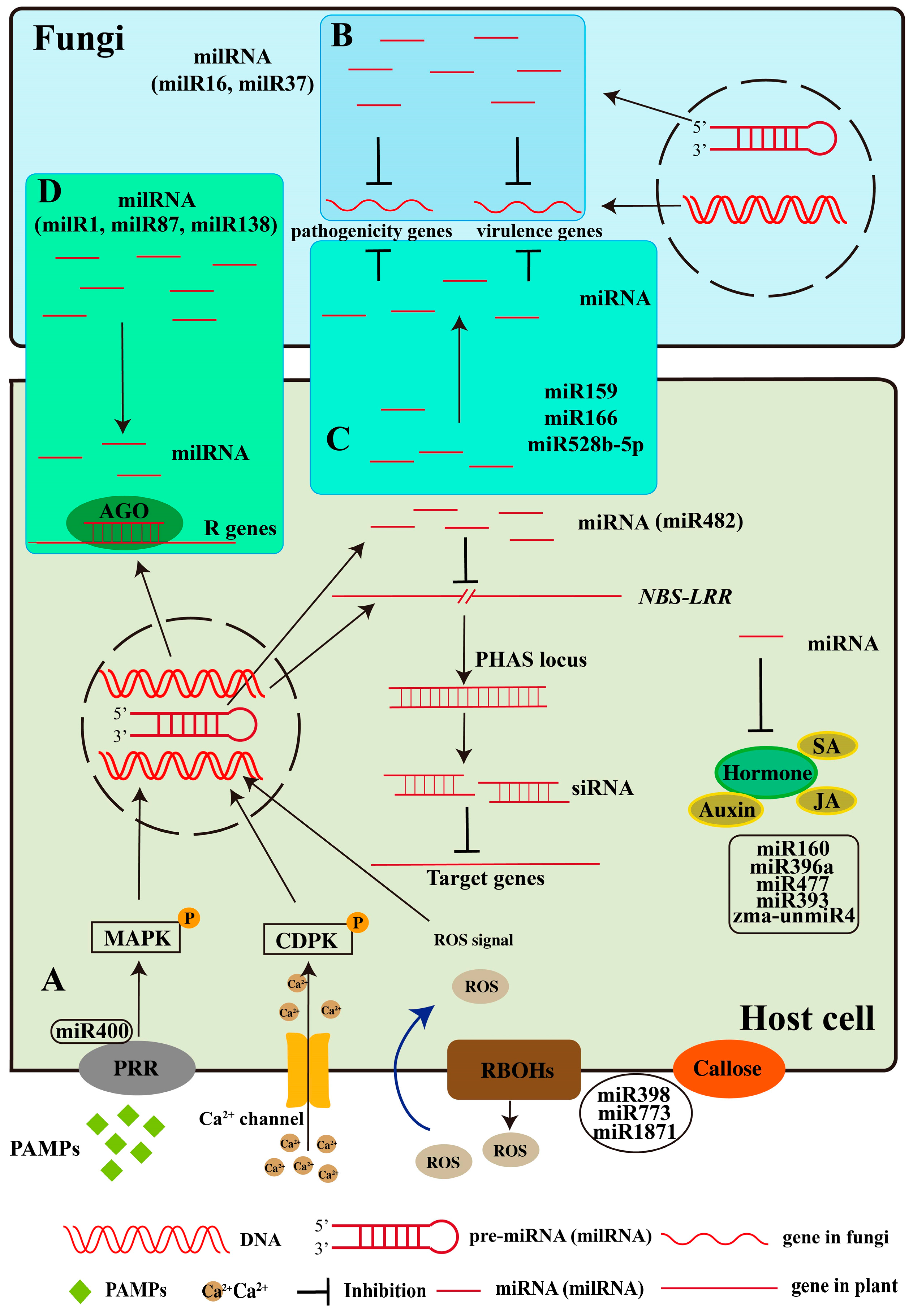 Plants 14 01250 g003