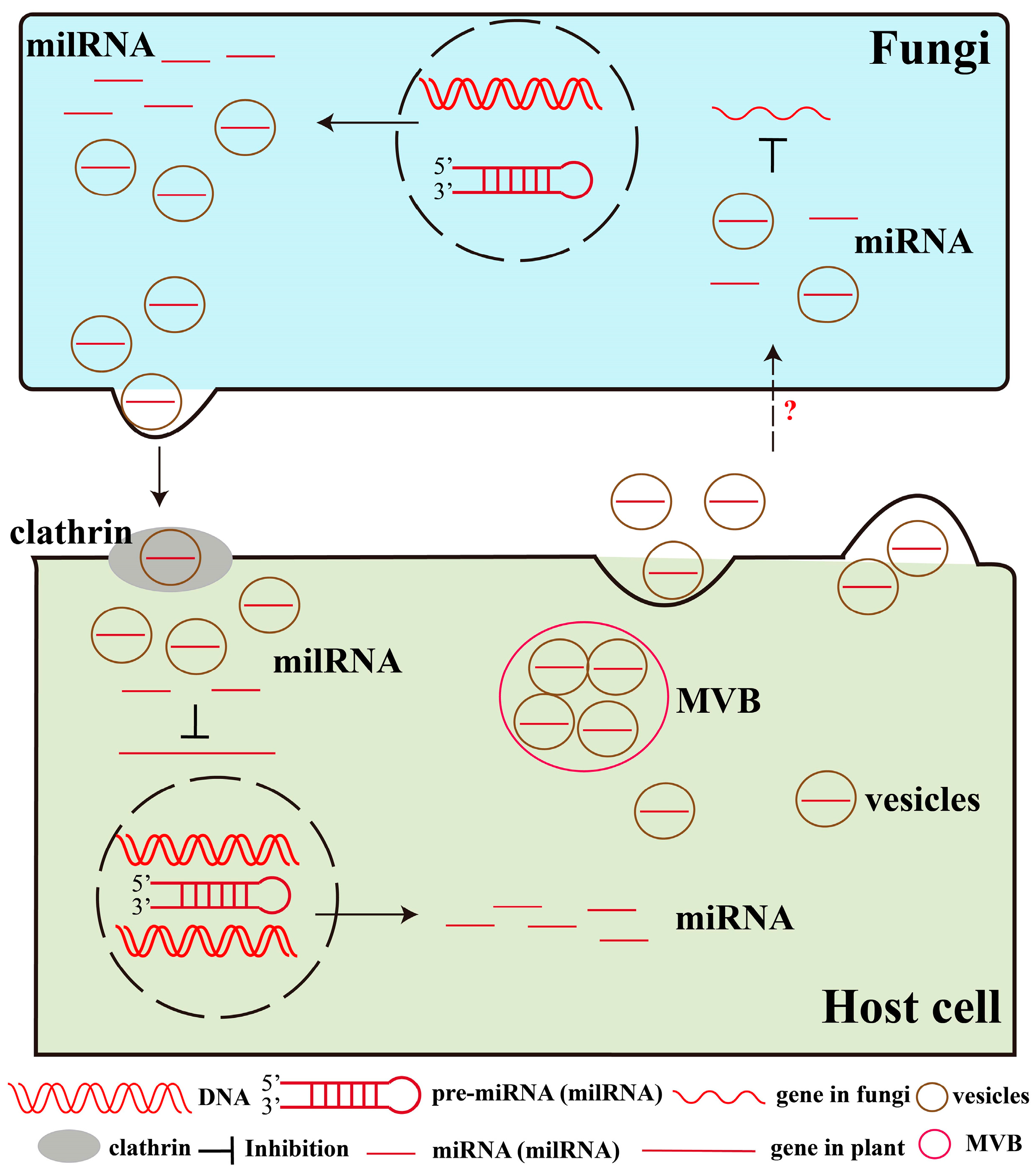 Plants 14 01250 g004