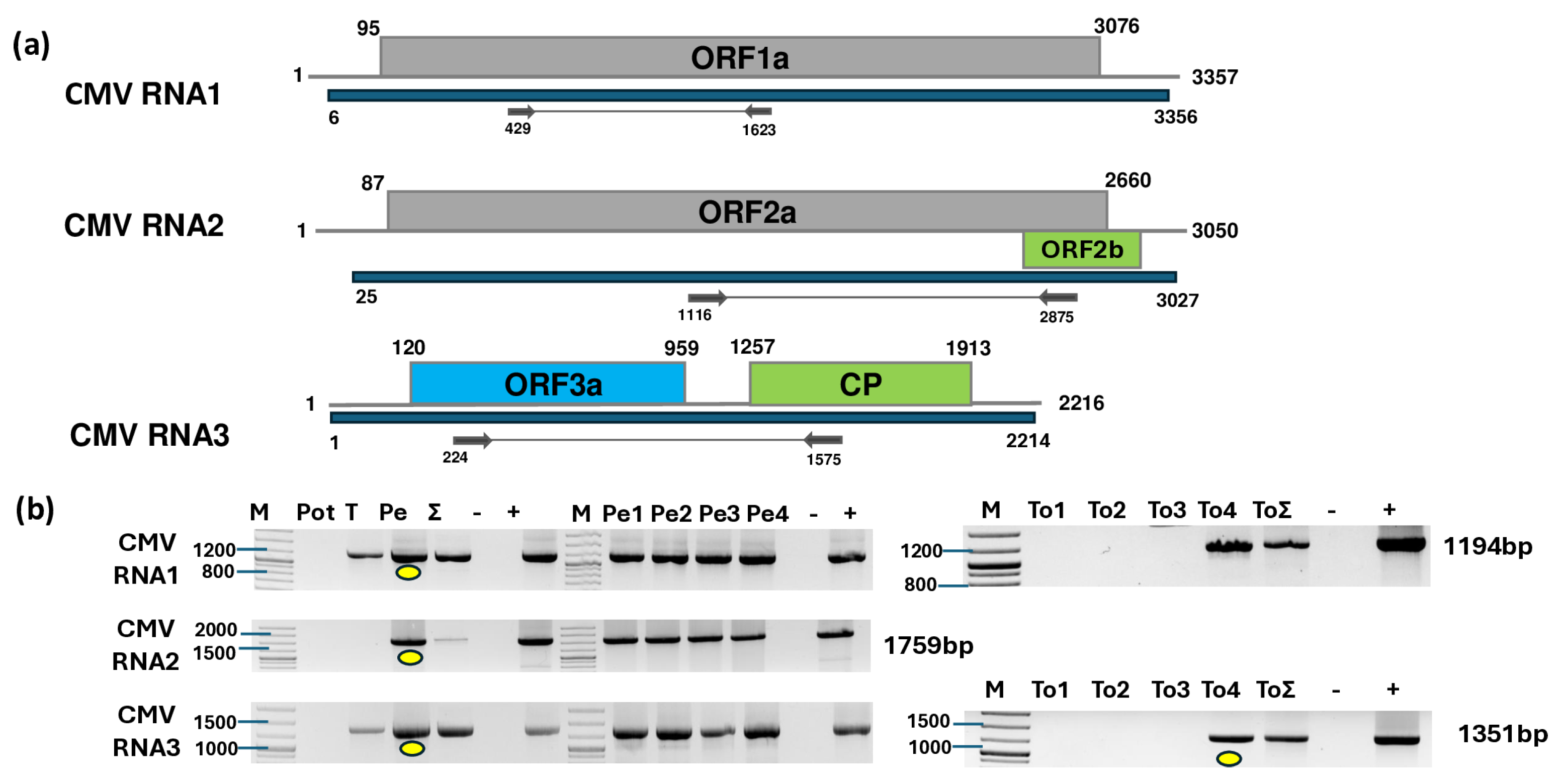 Plants 14 01273 g001