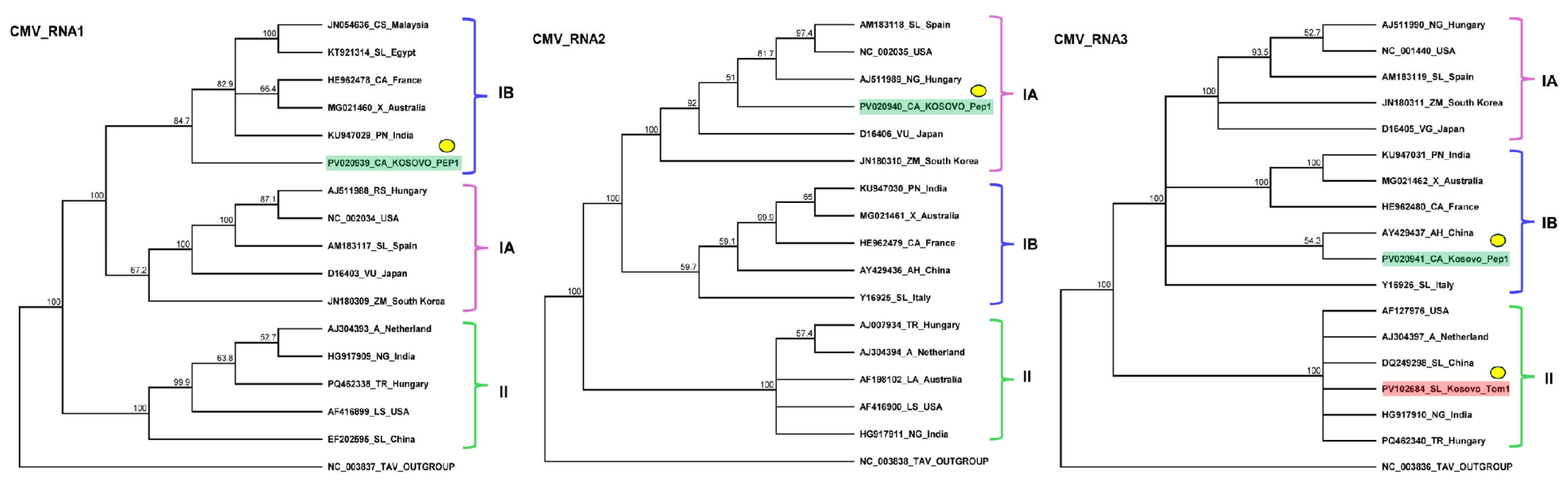 Plants 14 01273 g002