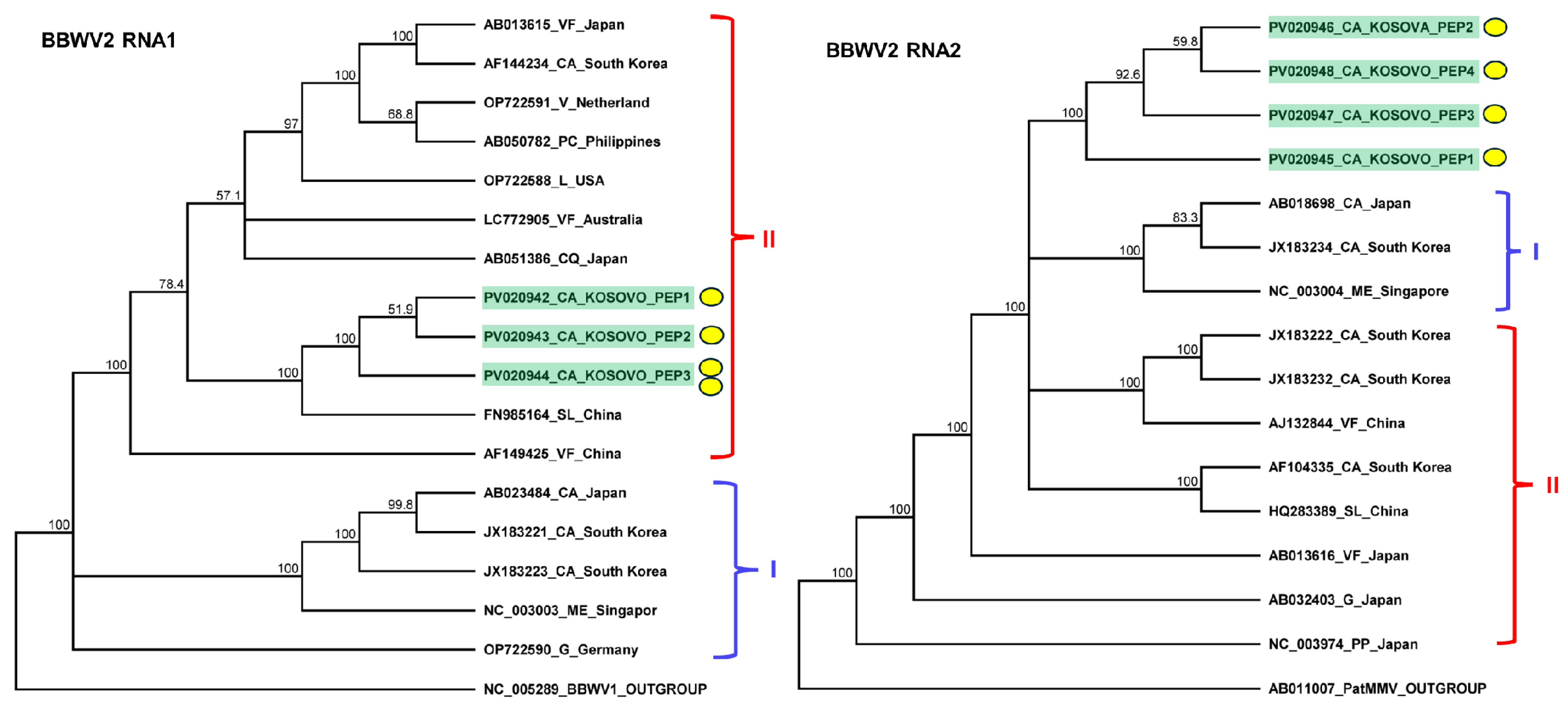 Plants 14 01273 g004