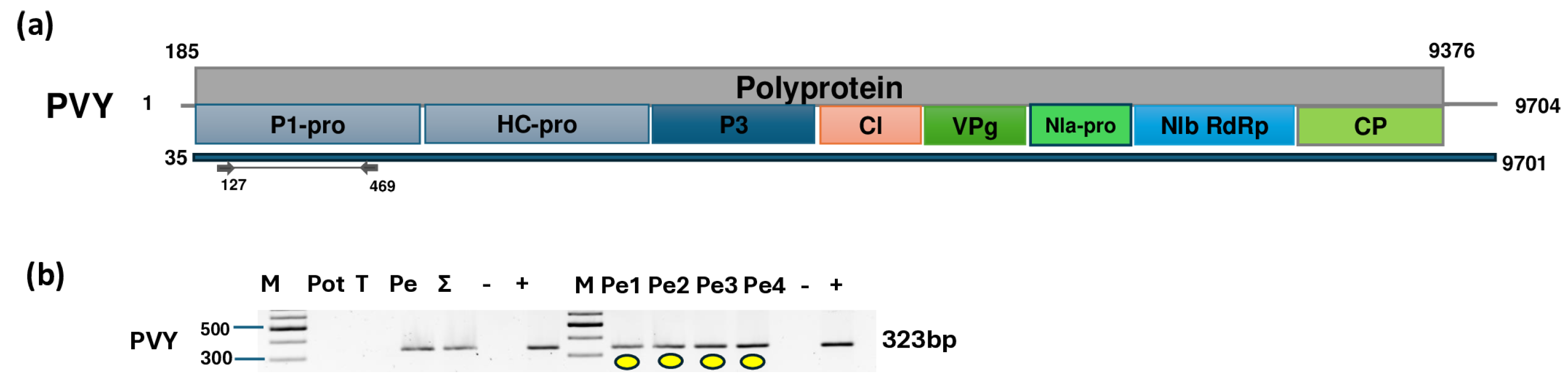 Plants 14 01273 g005
