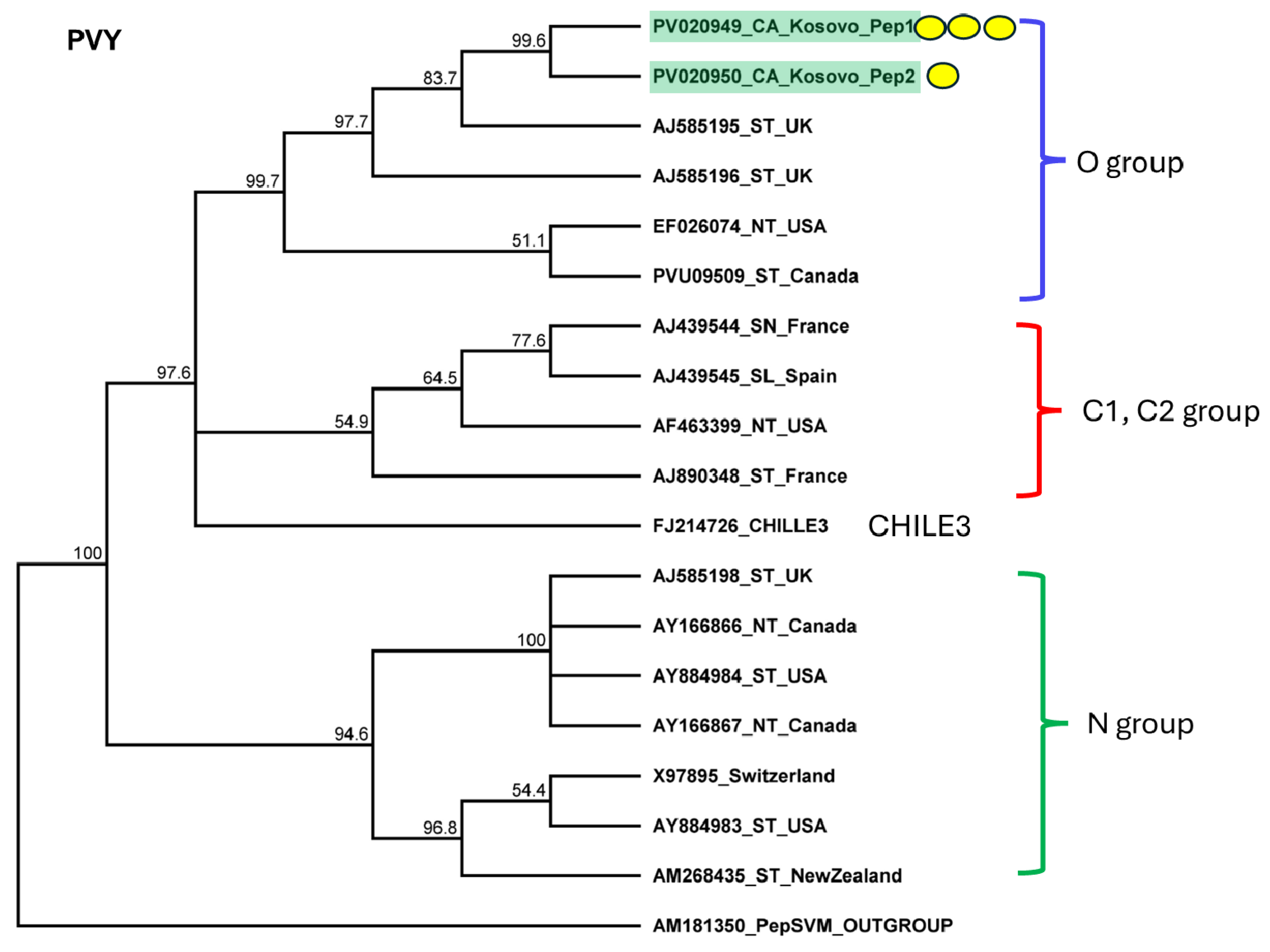 Plants 14 01273 g006
