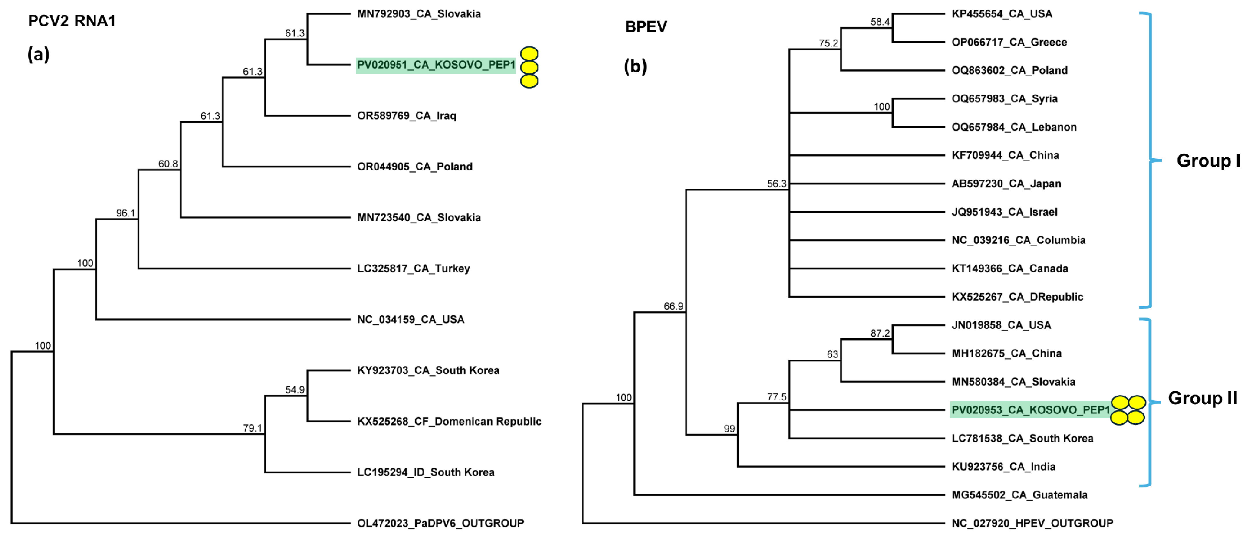Plants 14 01273 g008
