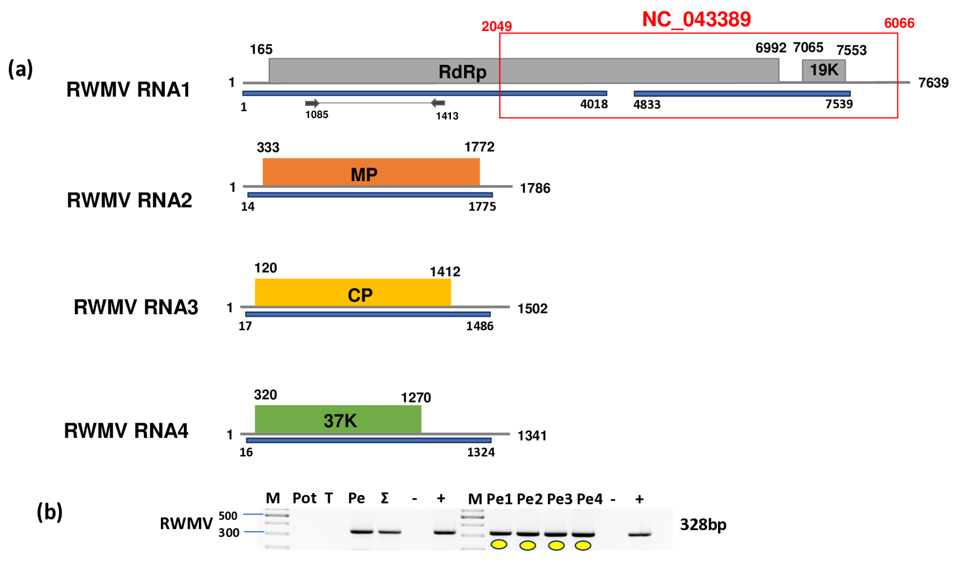 Plants 14 01273 g009