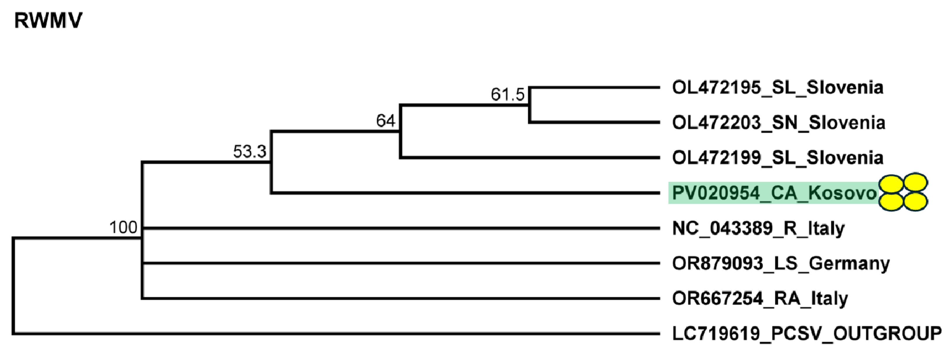 Plants 14 01273 g010