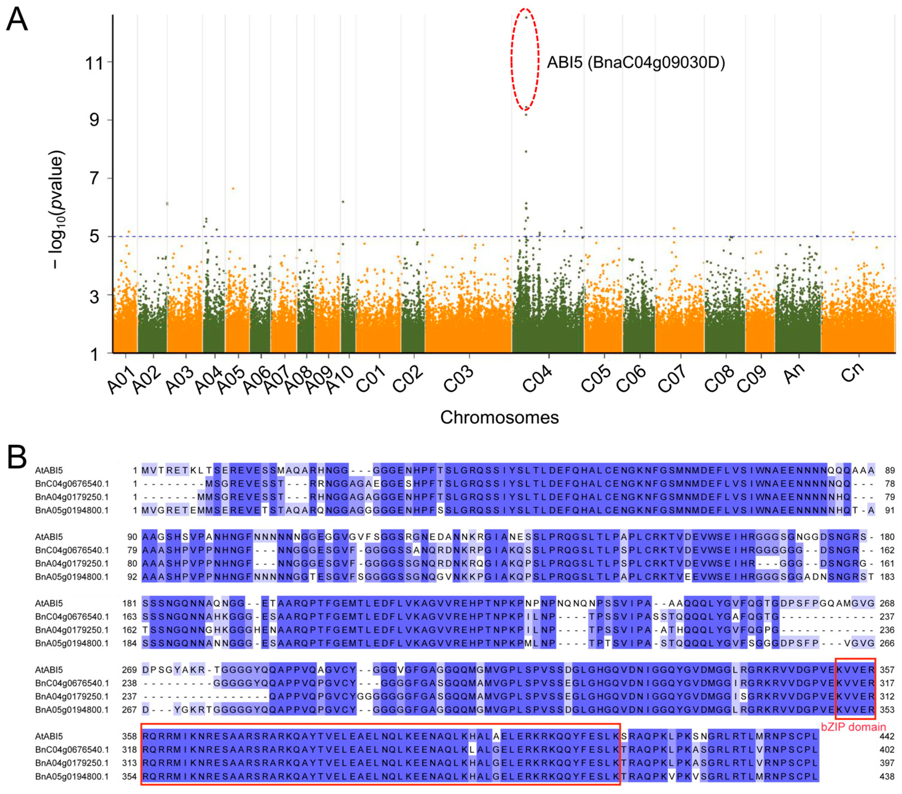 Plants 14 01276 g001