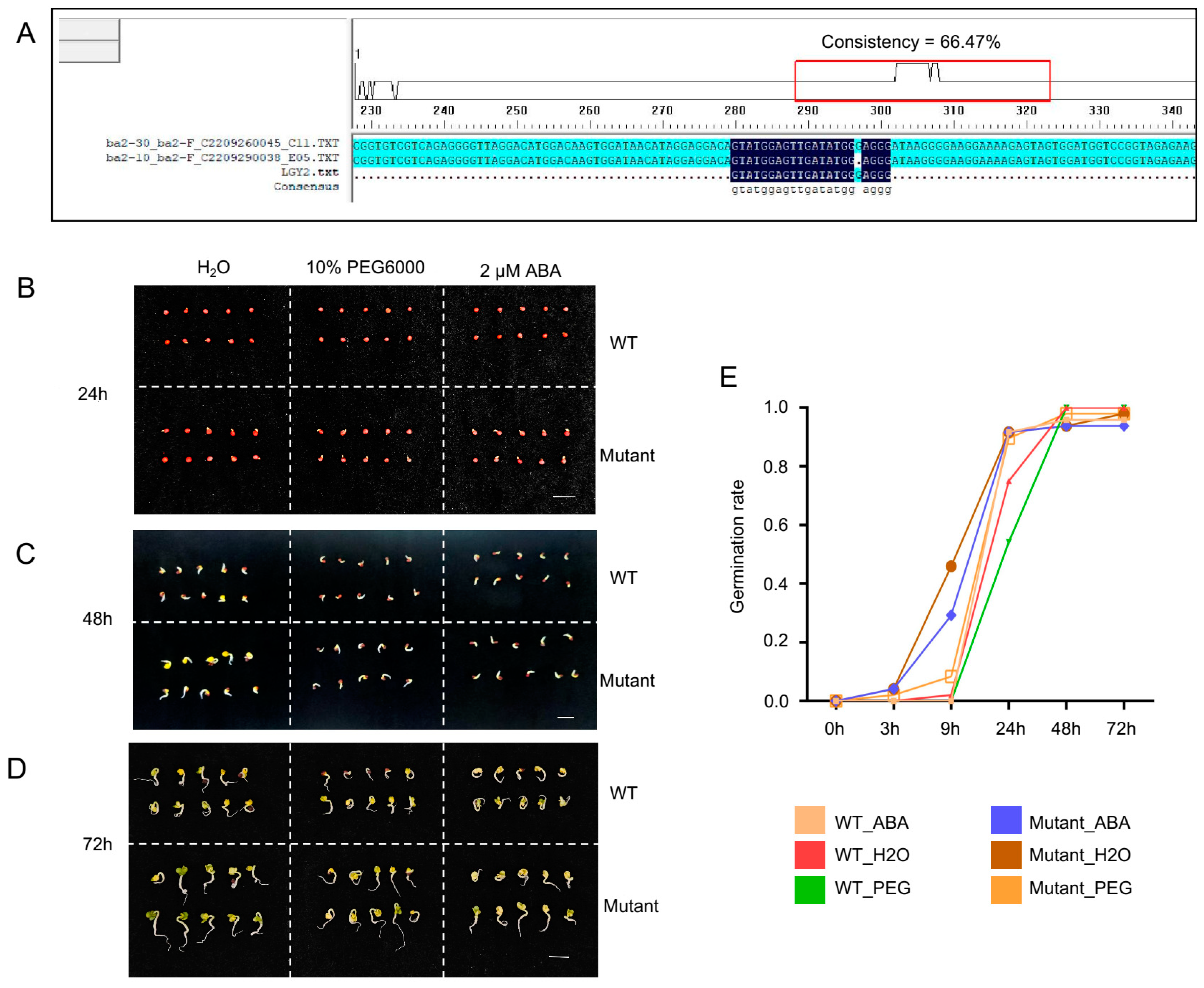 Plants 14 01276 g002