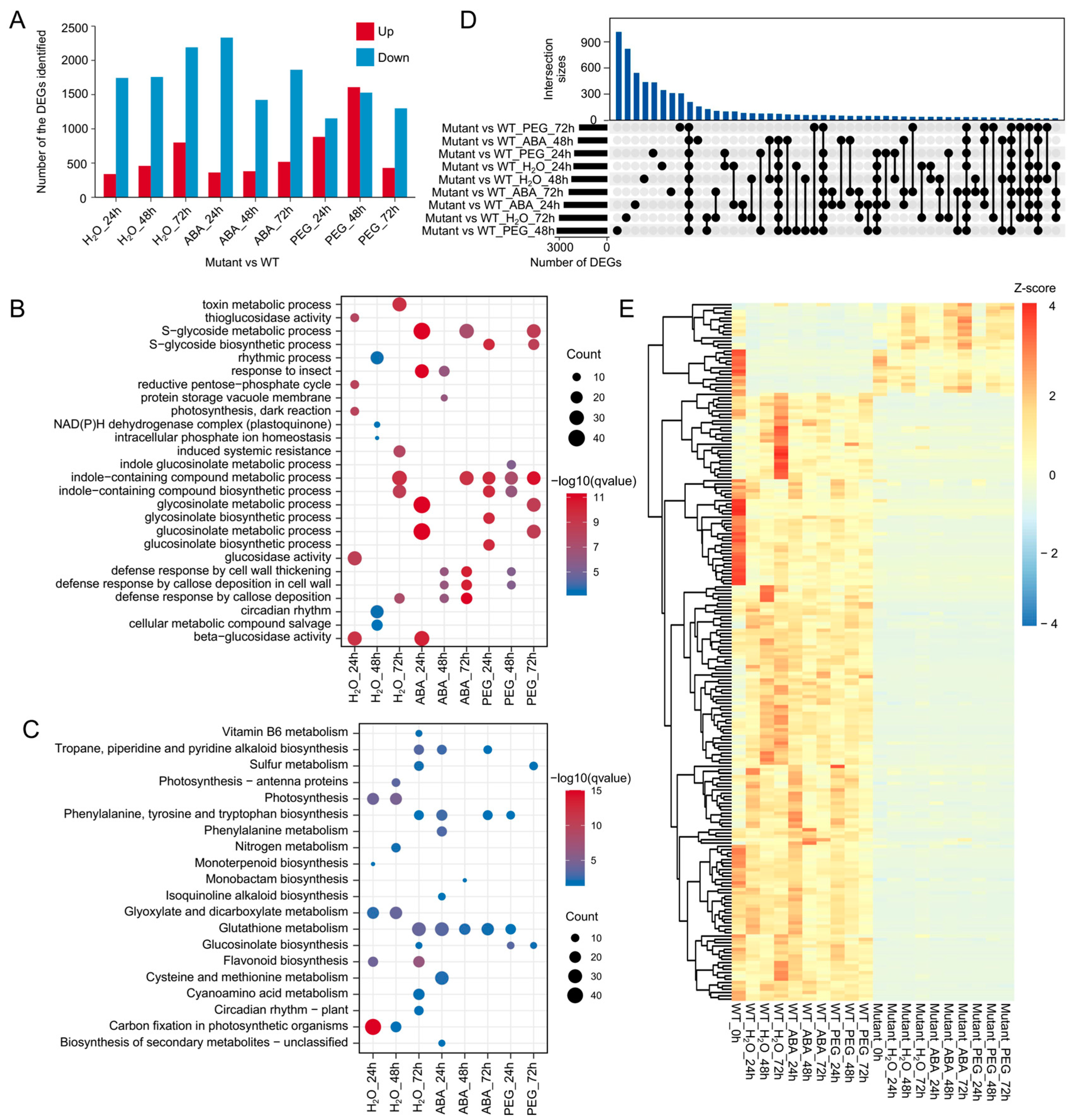 Plants 14 01276 g003