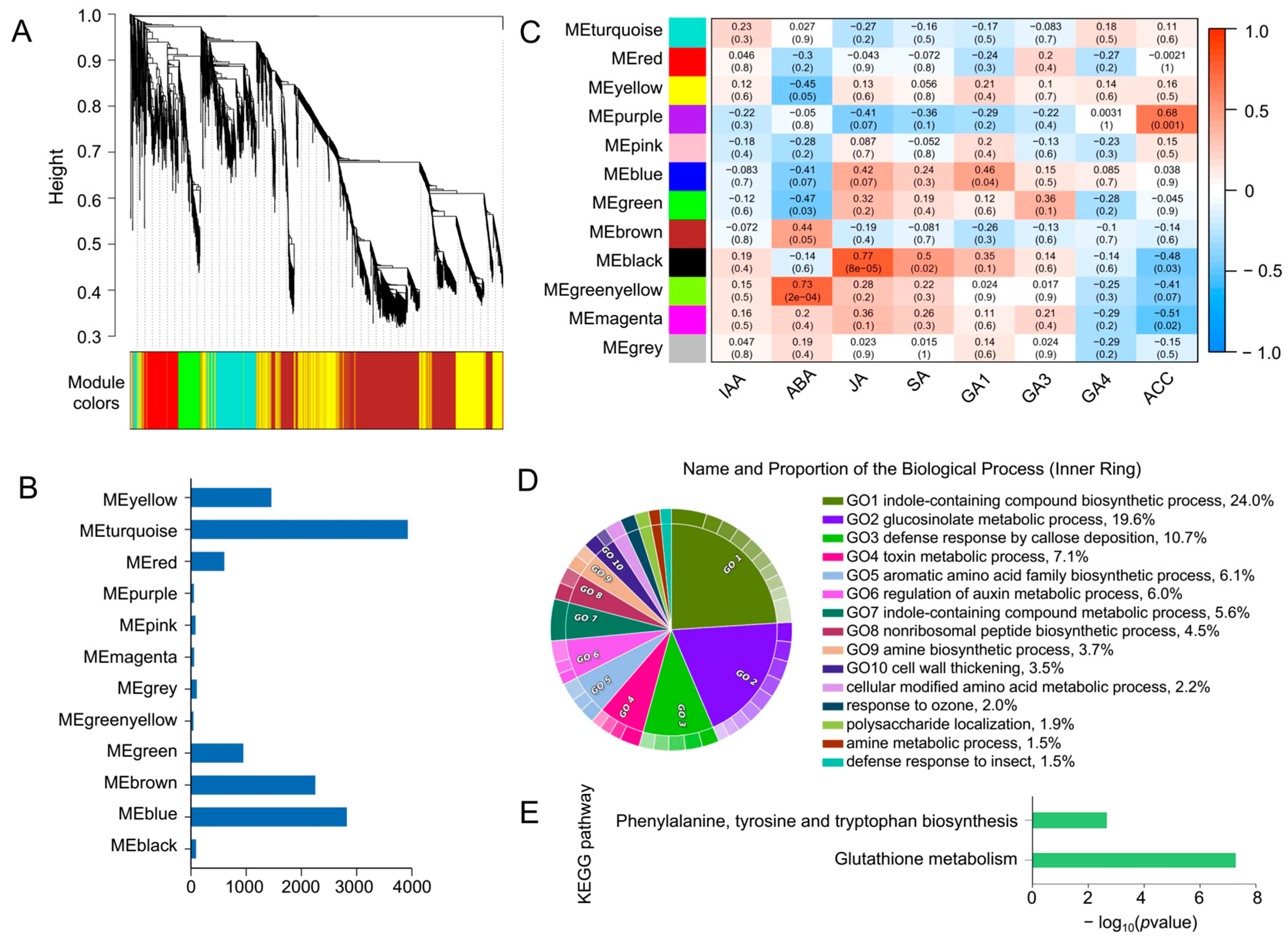 Plants 14 01276 g005
