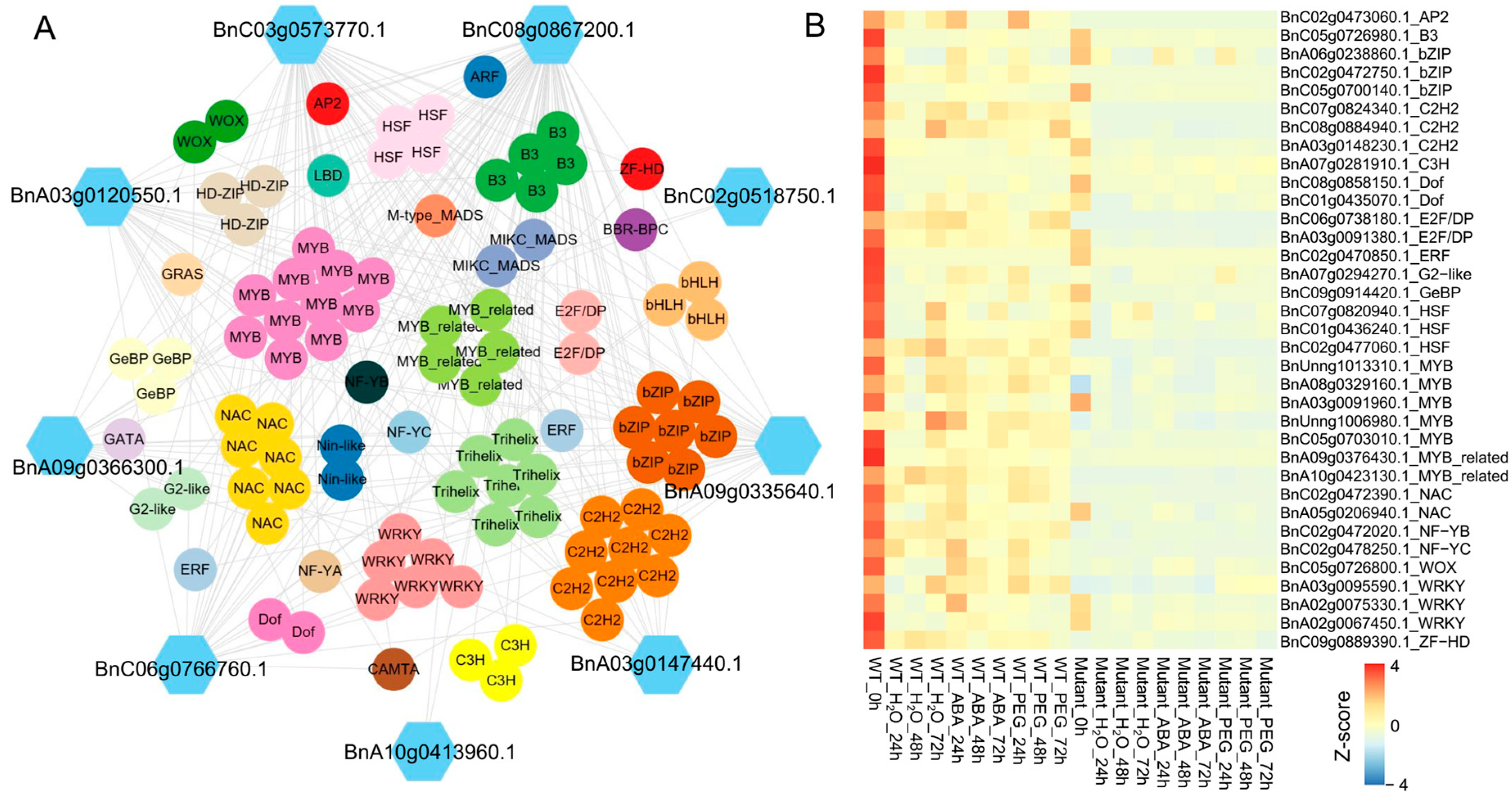 Plants 14 01276 g006