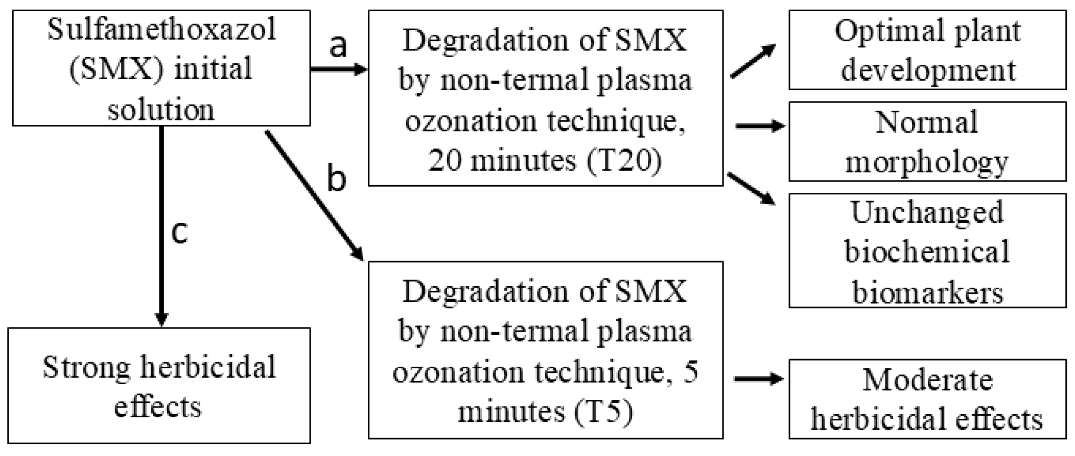 Plants 14 01277 g001