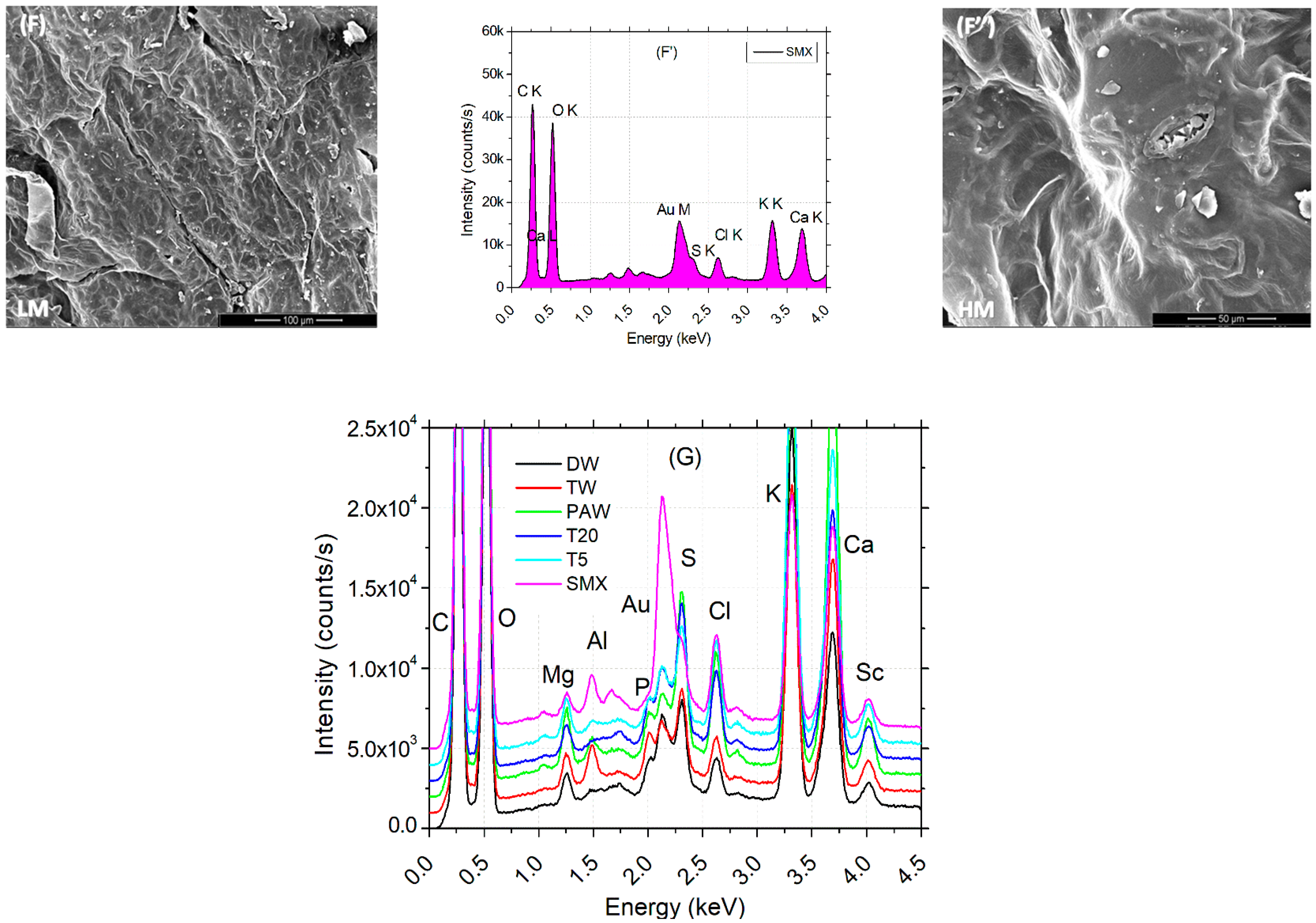 Plants 14 01277 g007b