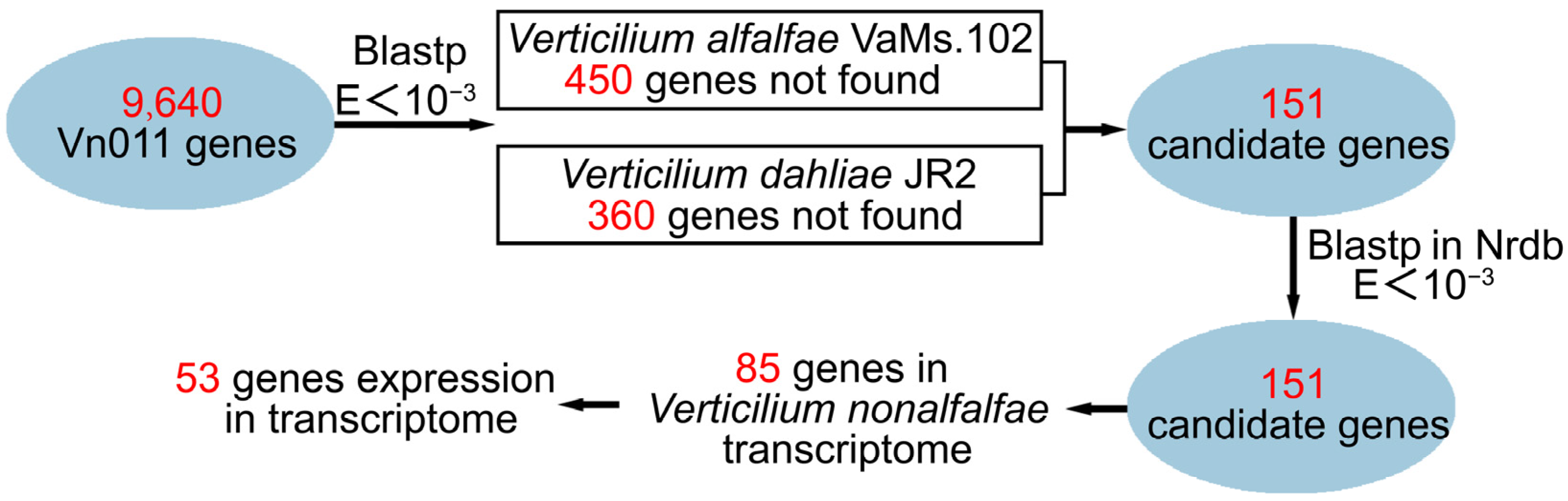 Plants 14 01281 g005