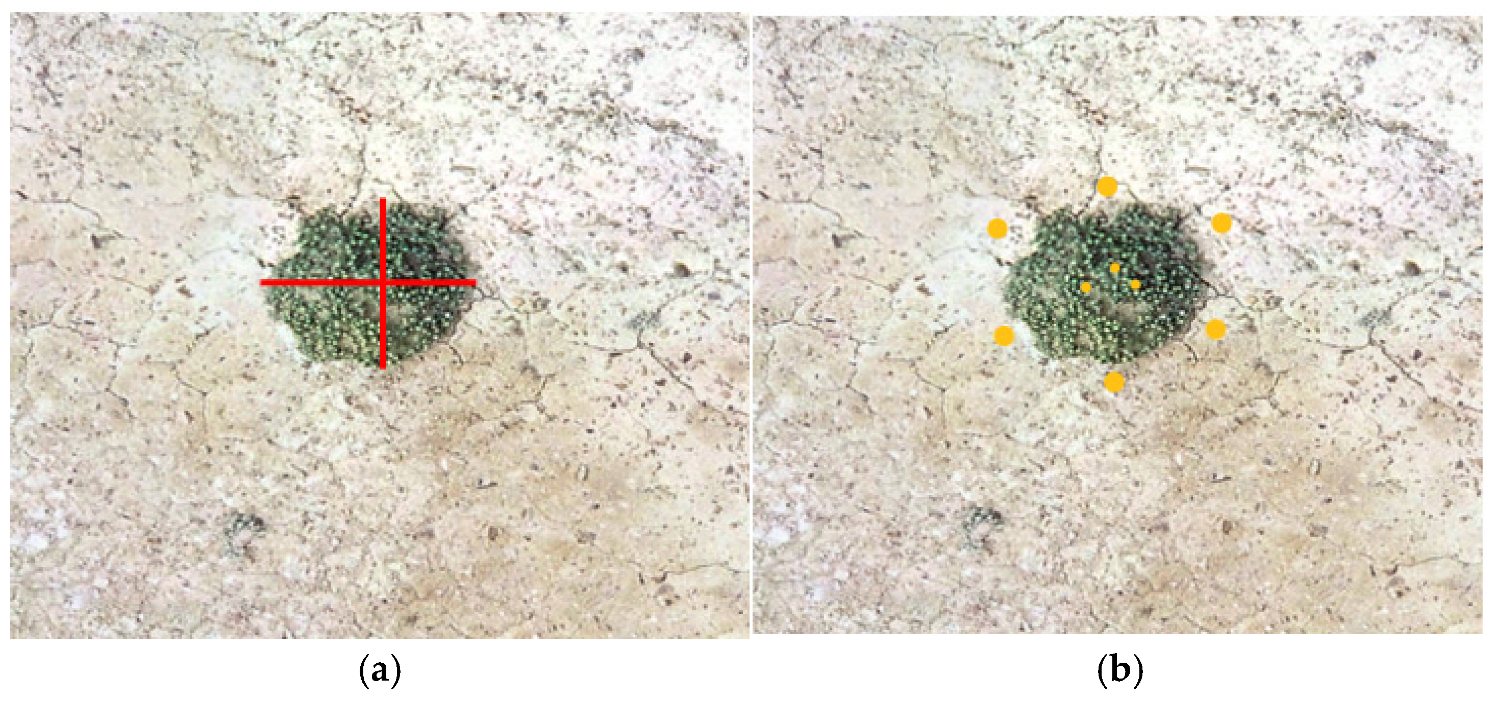 Plants 14 01298 g012