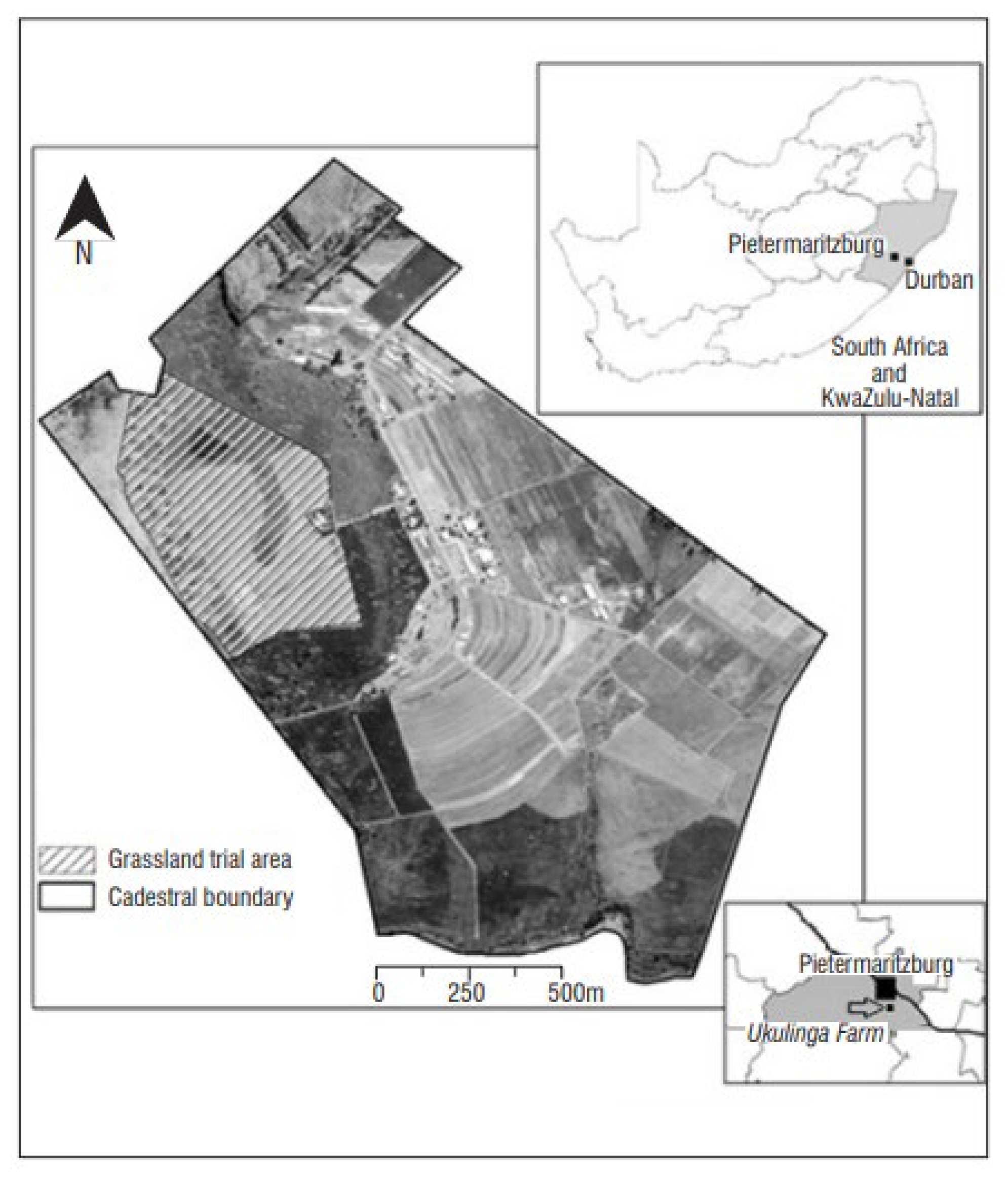 Plants 14 01302 g007