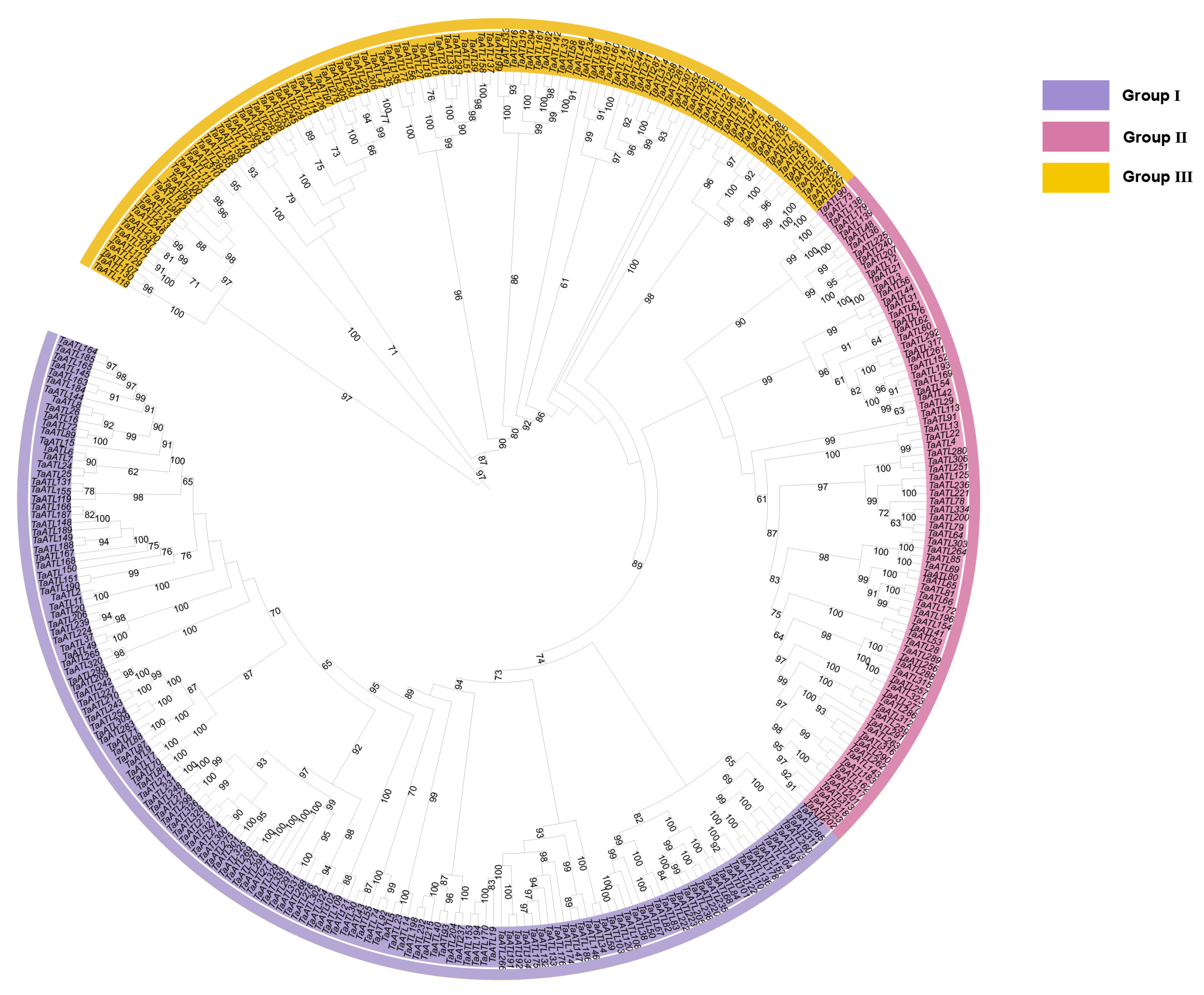 Plants 14 01306 g002