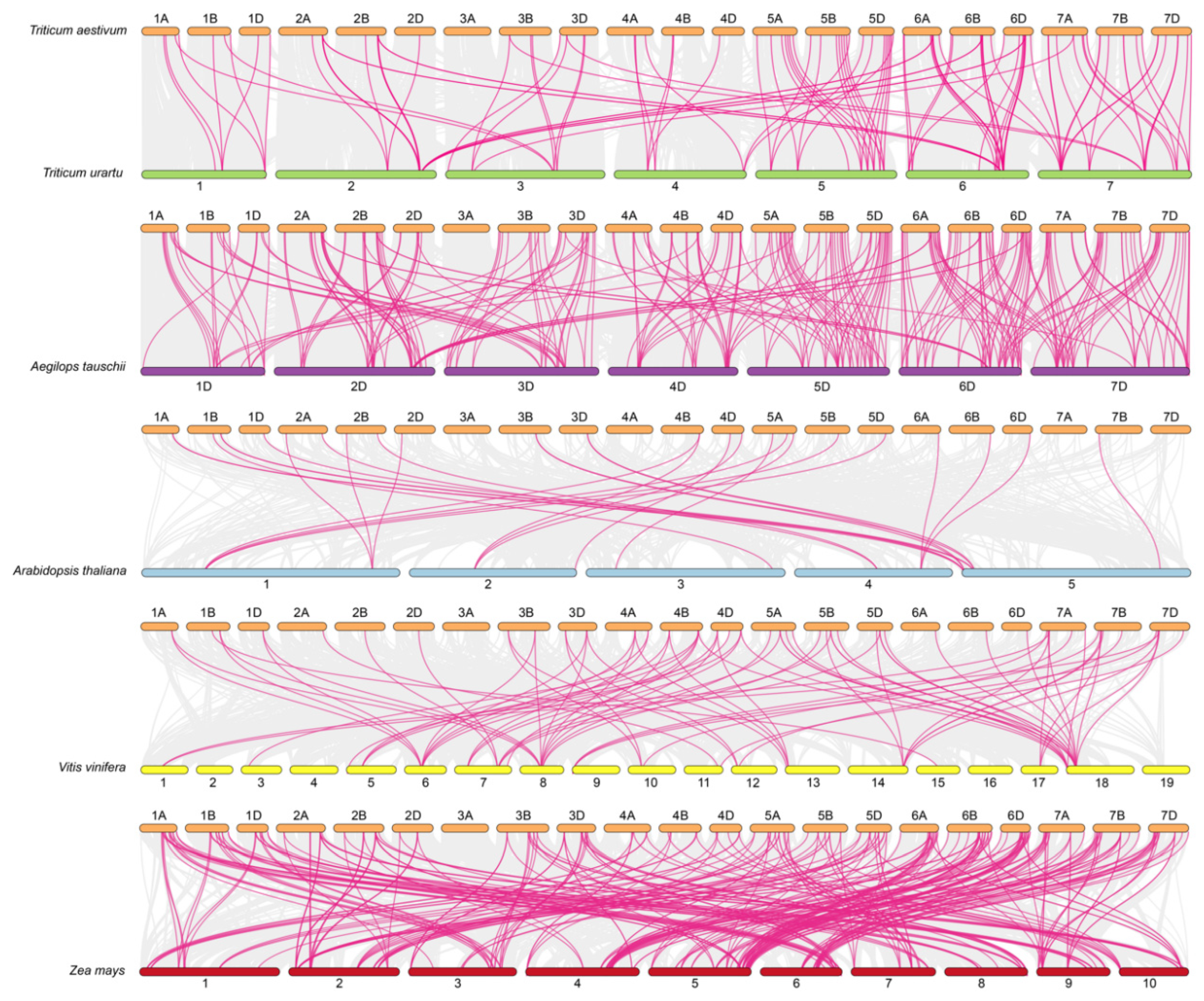 Plants 14 01306 g004