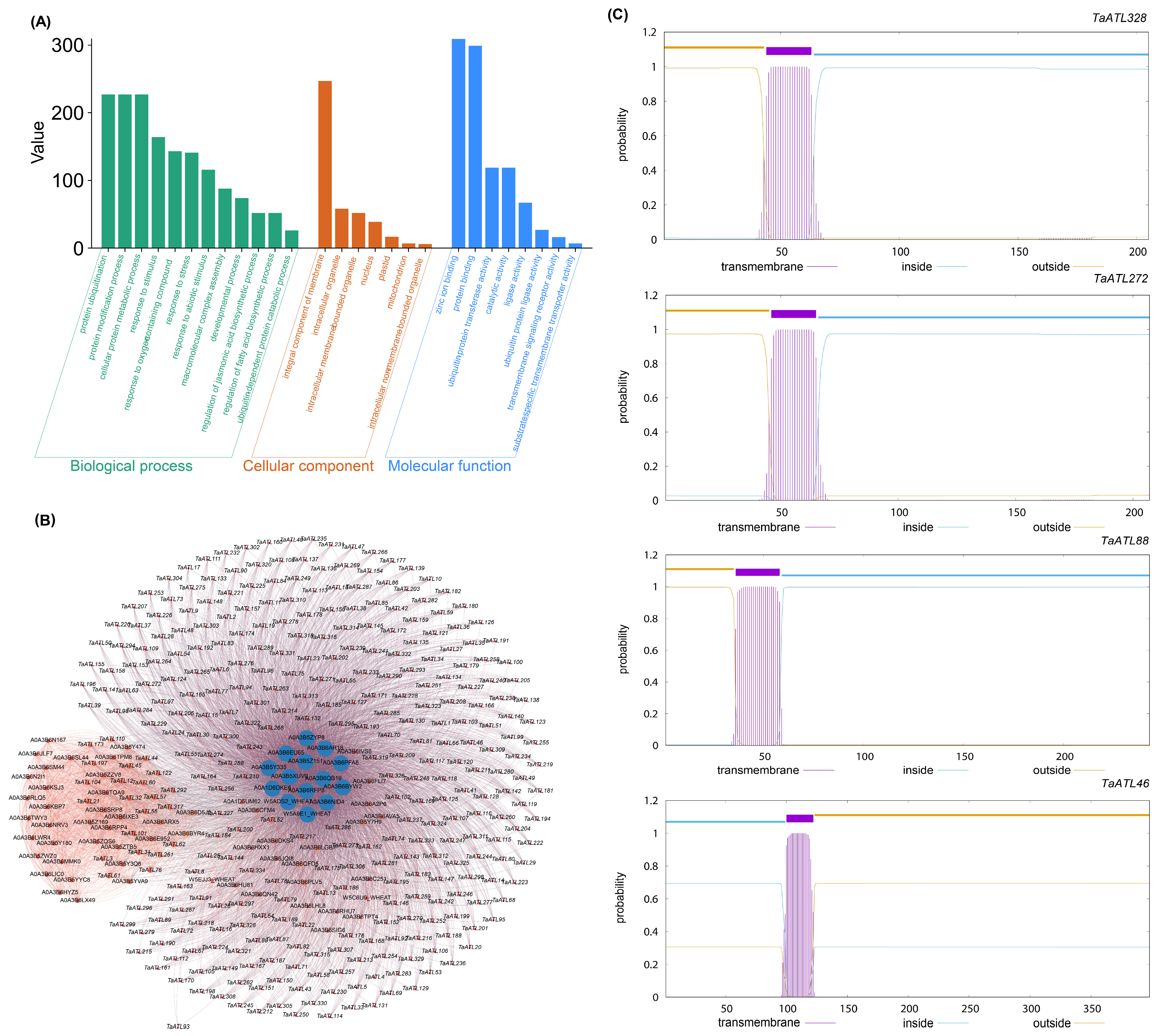 Plants 14 01306 g006