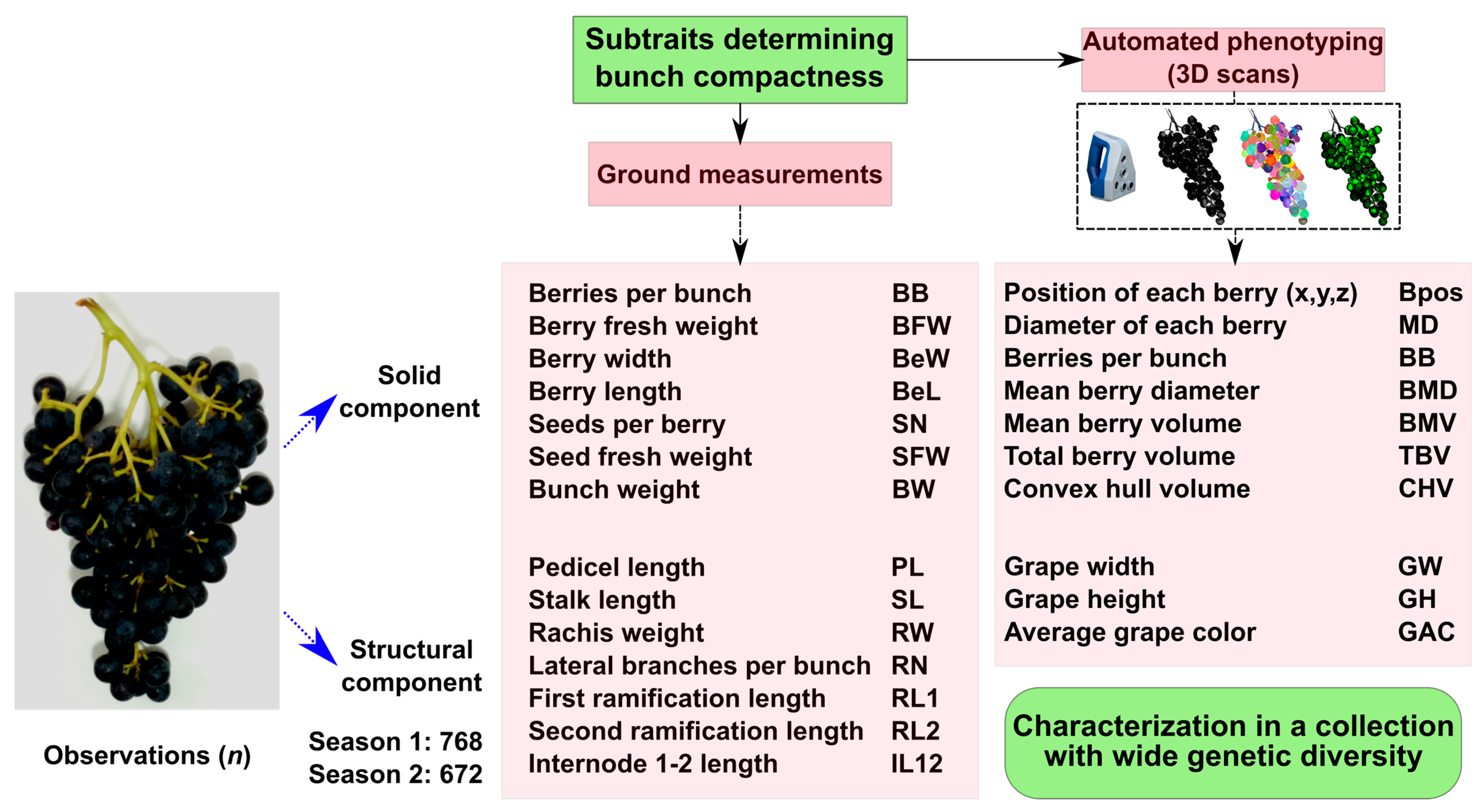 Plants 14 01308 g001