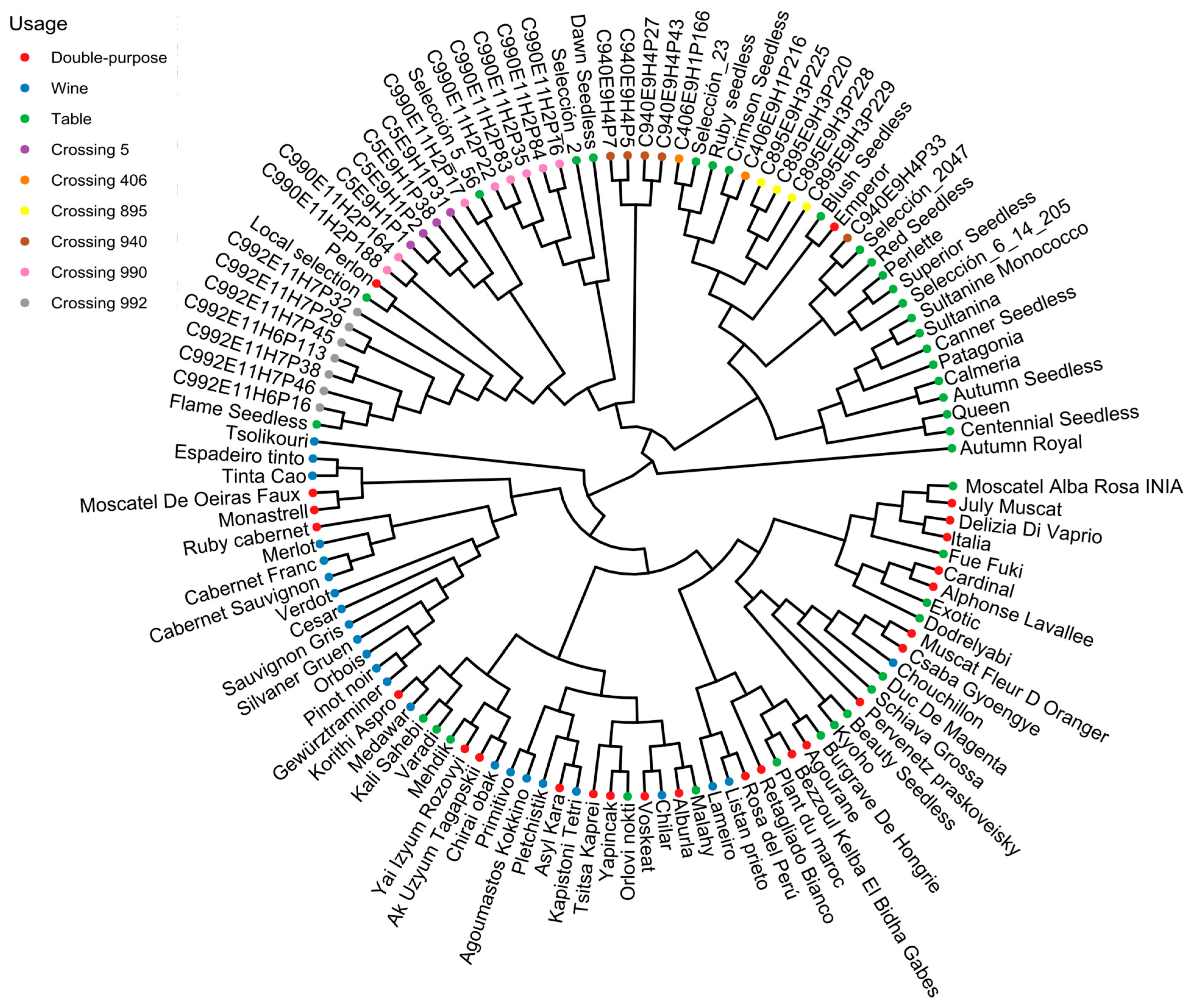 Plants 14 01308 g005