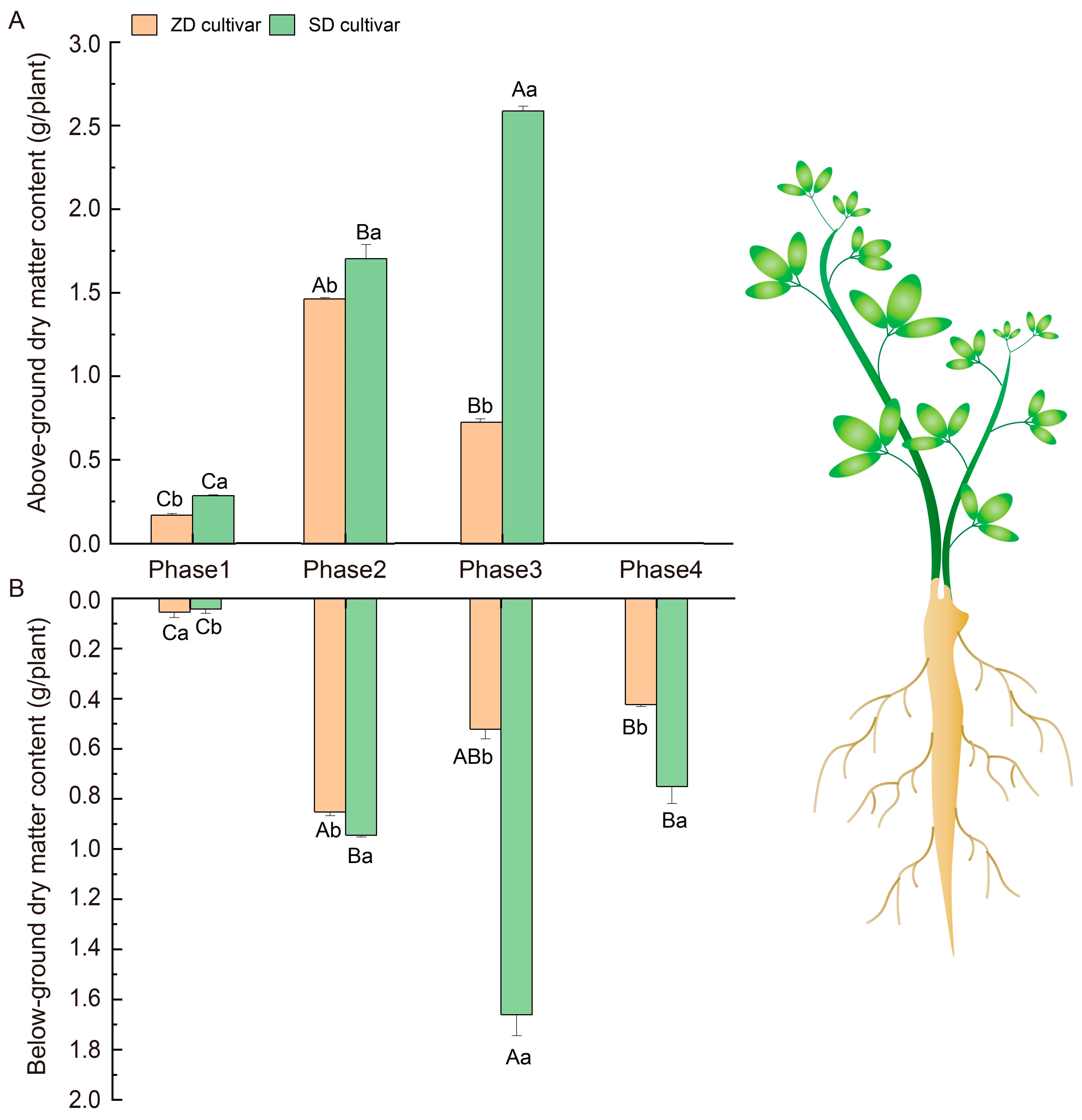 Plants 14 01313 g002