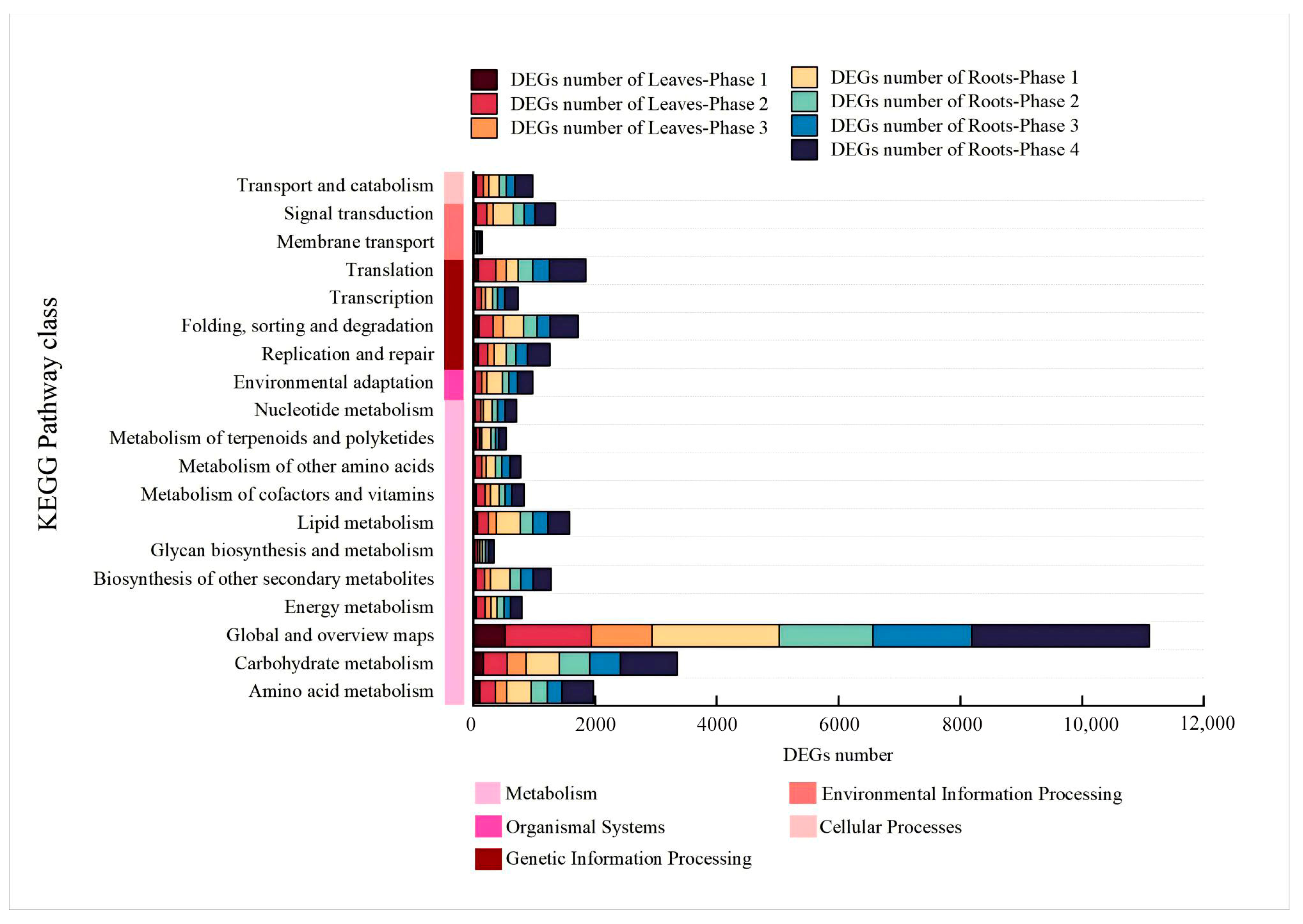 Plants 14 01313 g006