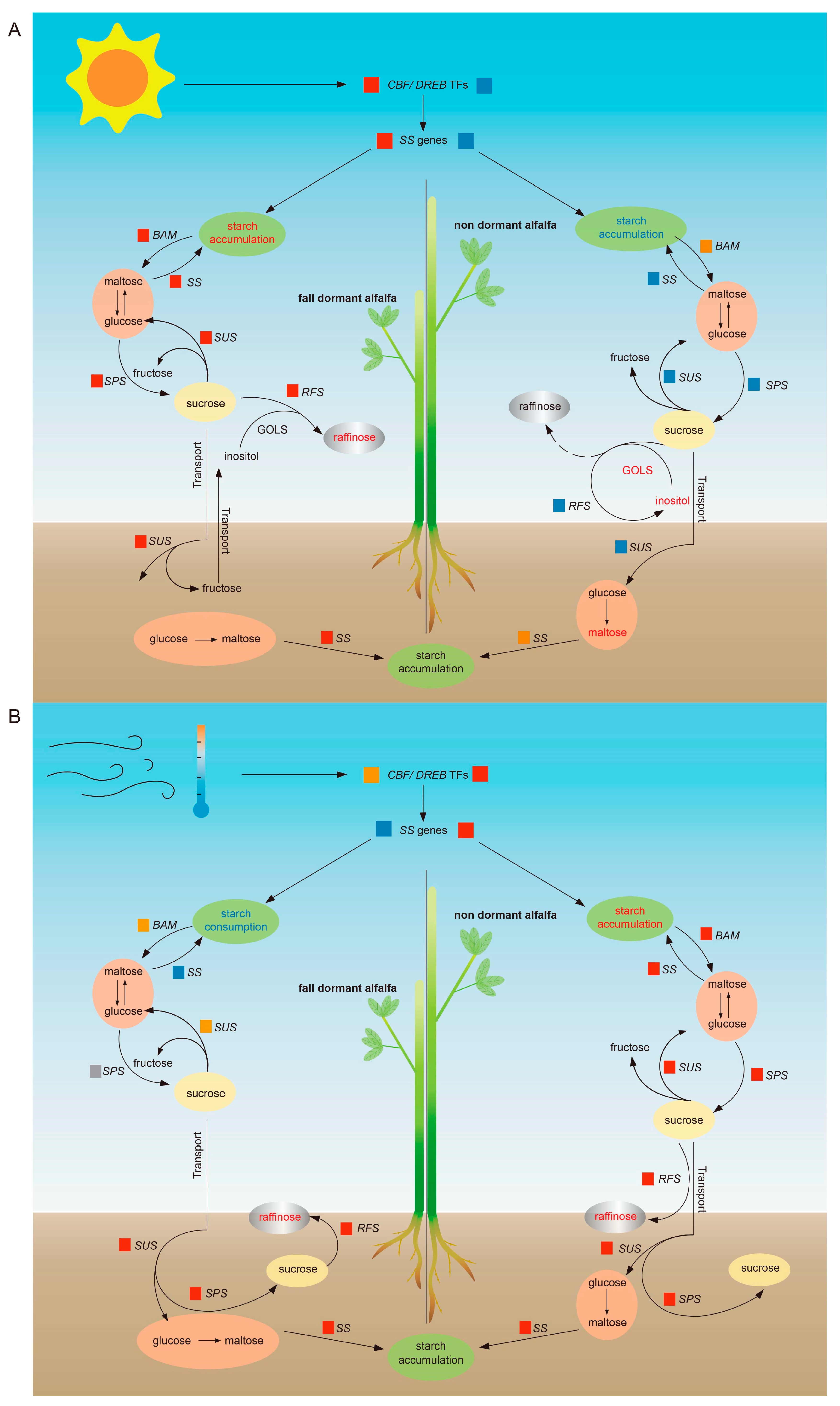 Plants 14 01313 g007