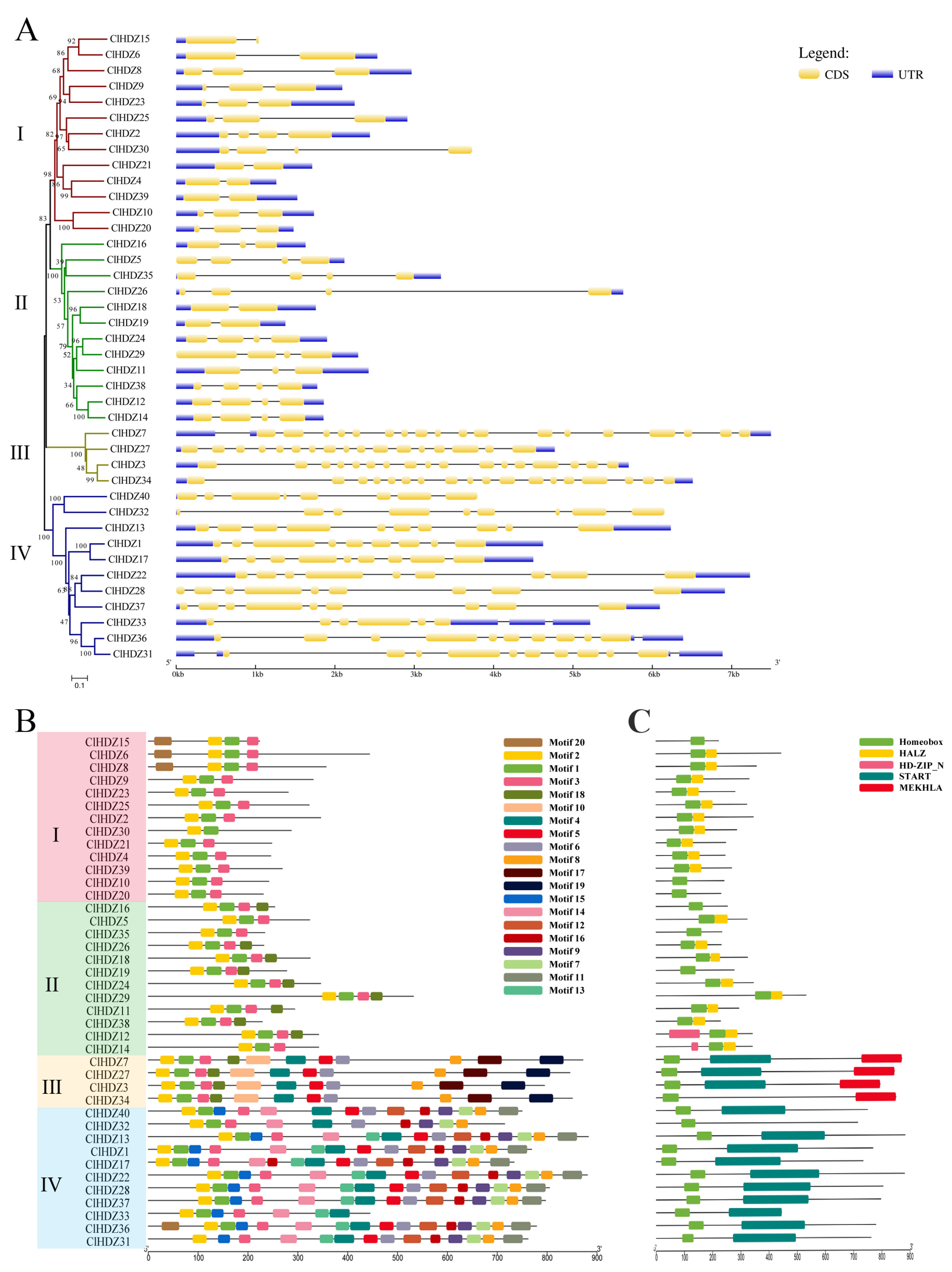 Plants 14 01318 g004