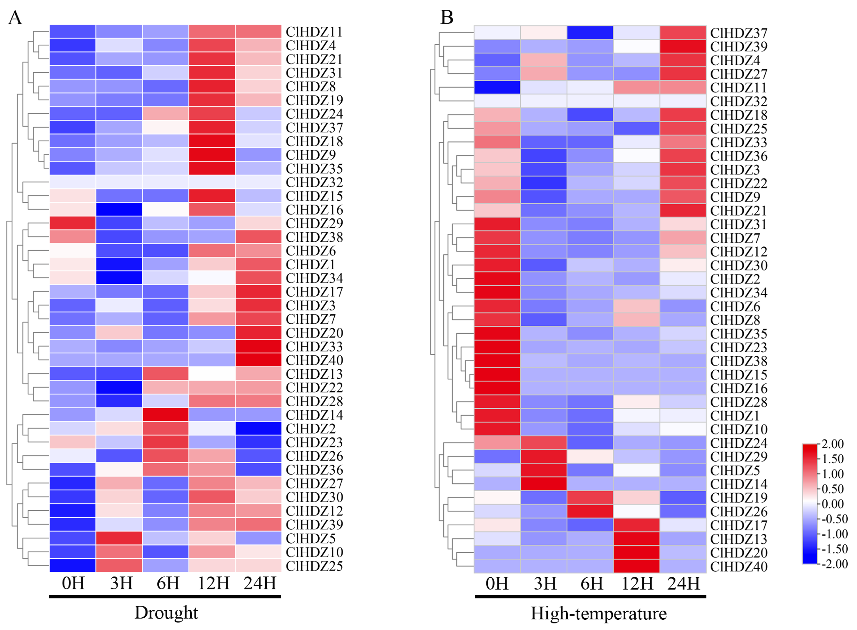 Plants 14 01318 g005
