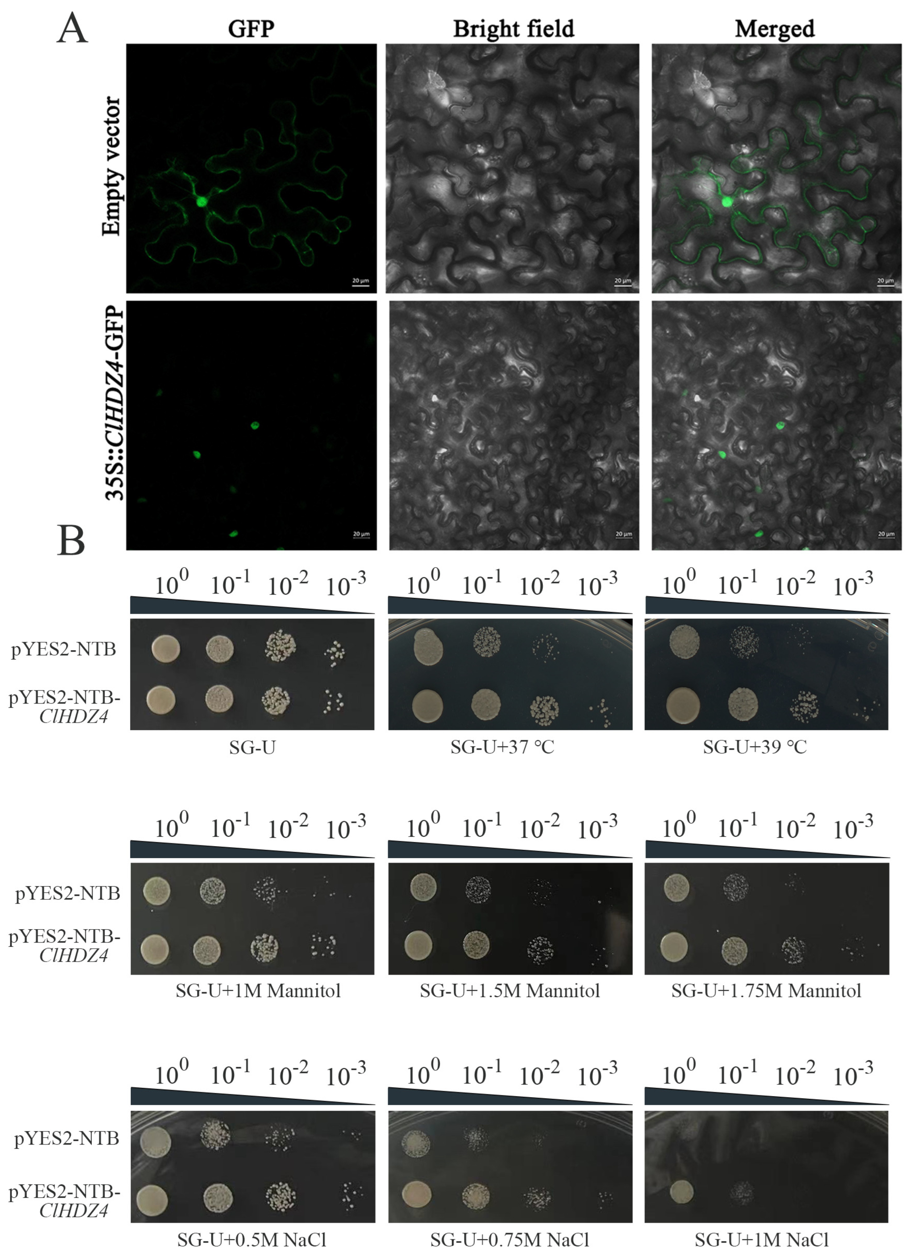 Plants 14 01318 g007