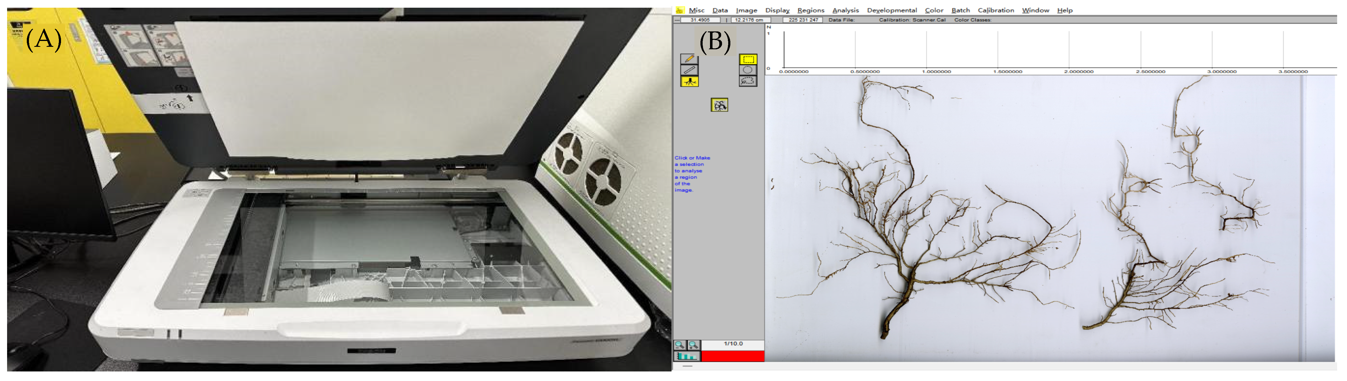 Plants 14 01329 g008