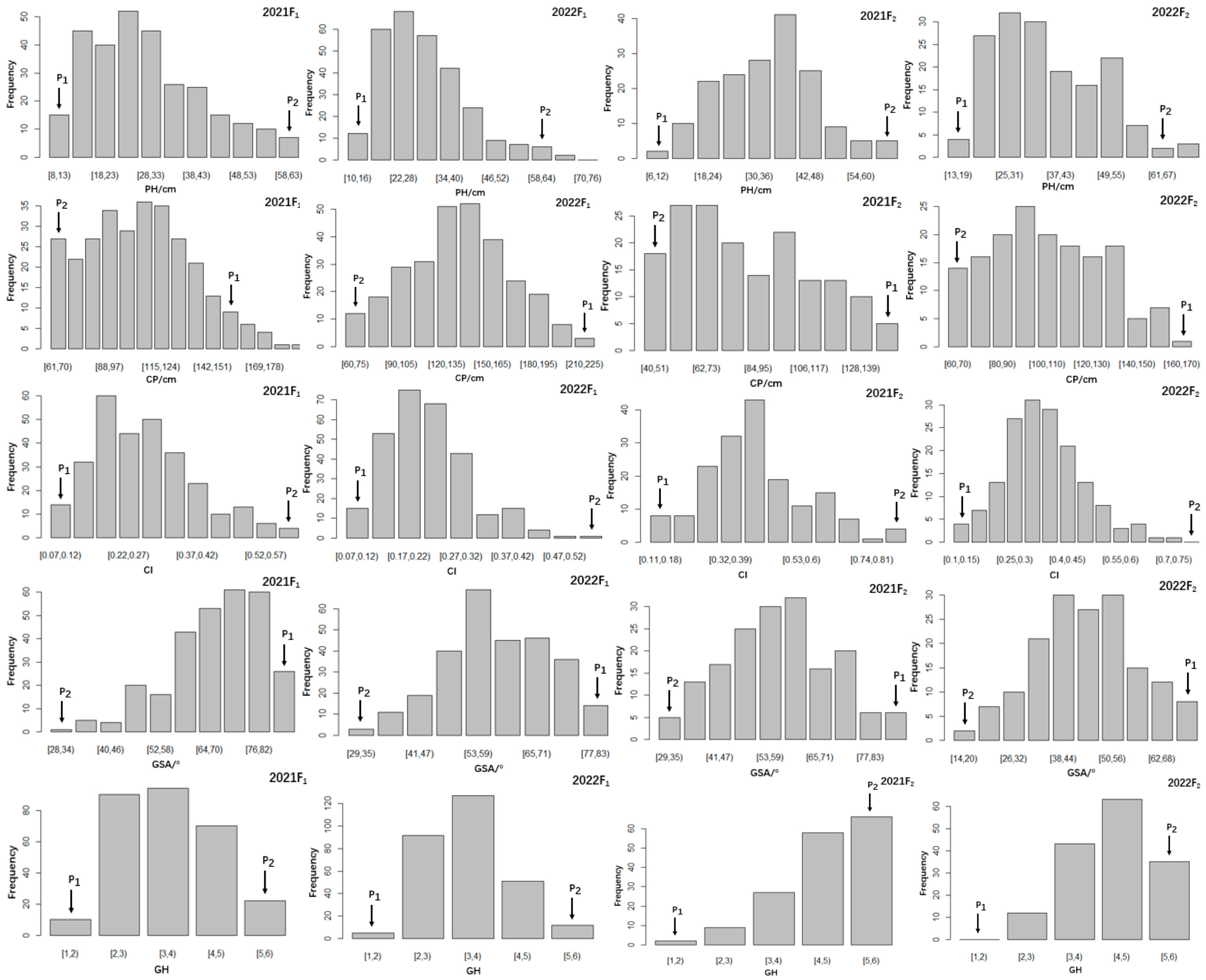 Plants 14 01338 g001