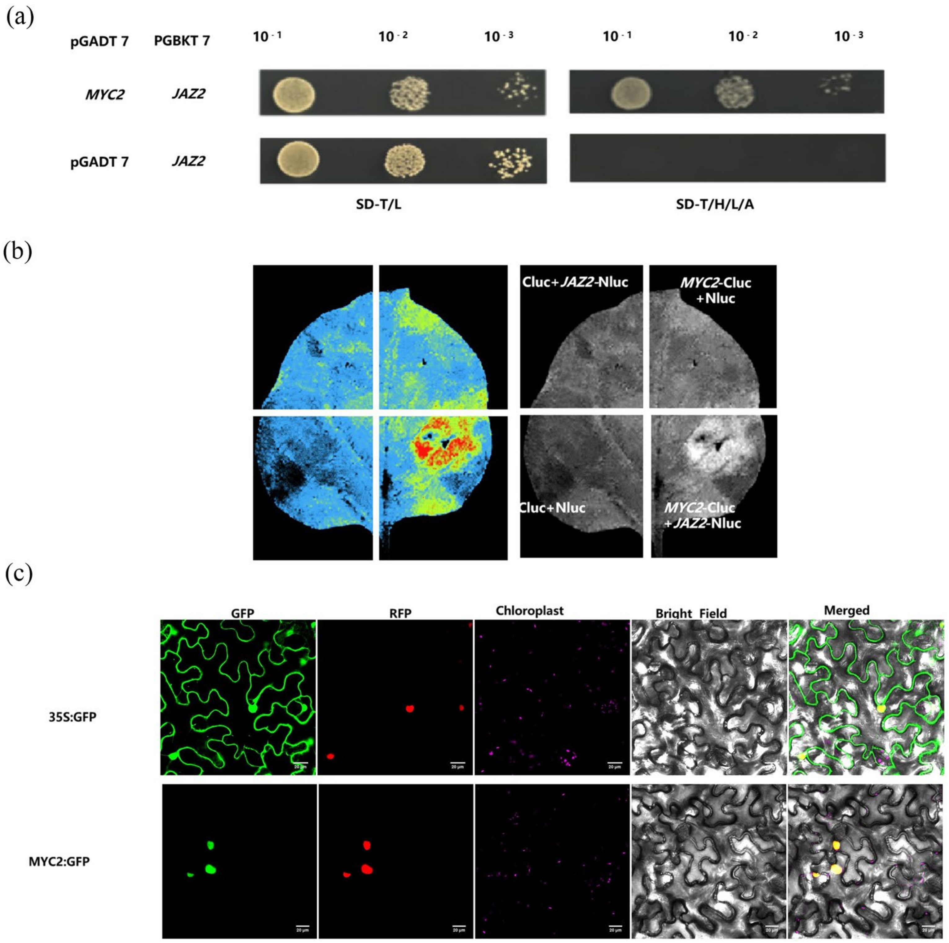 Plants 14 01353 g005