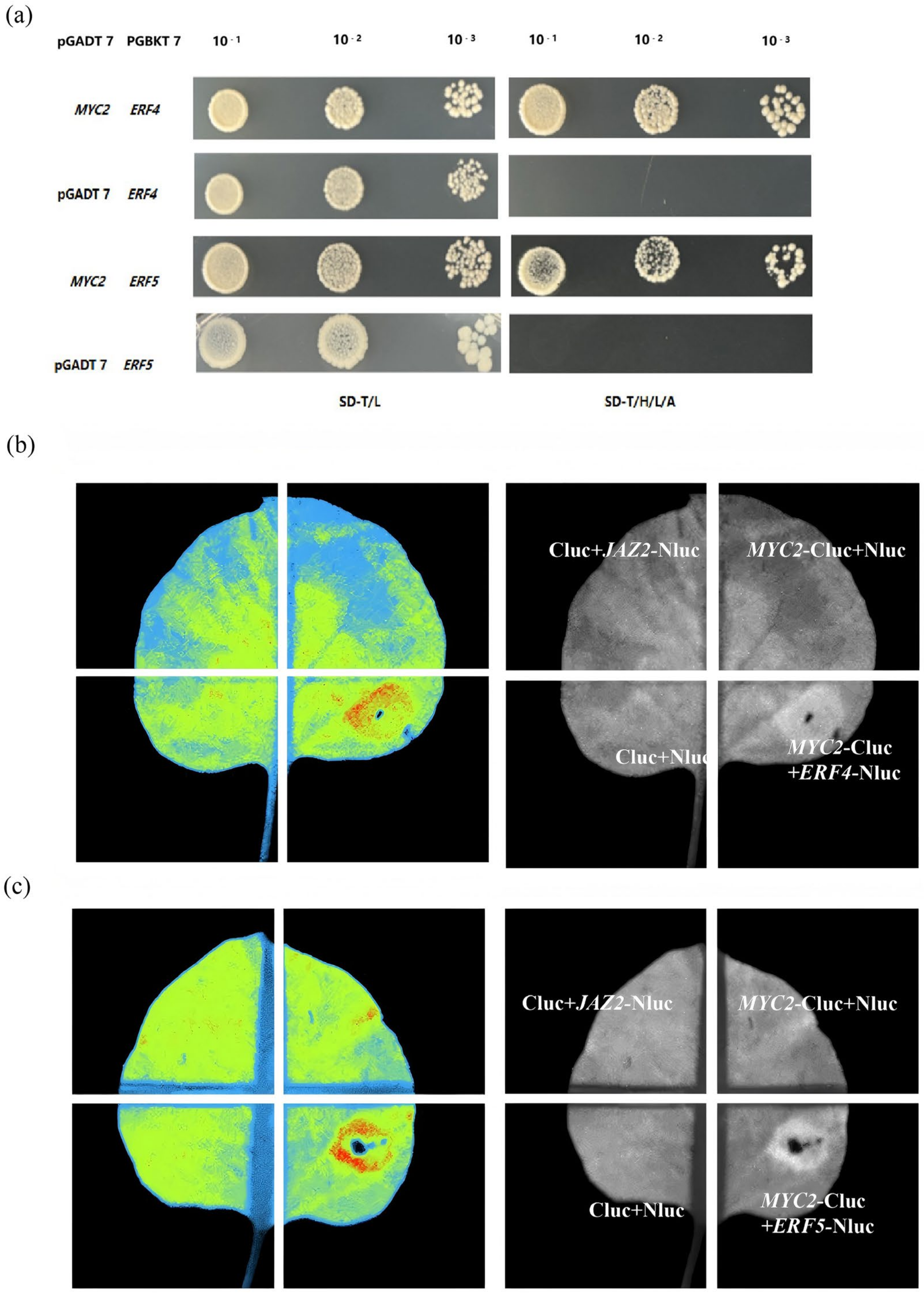 Plants 14 01353 g006