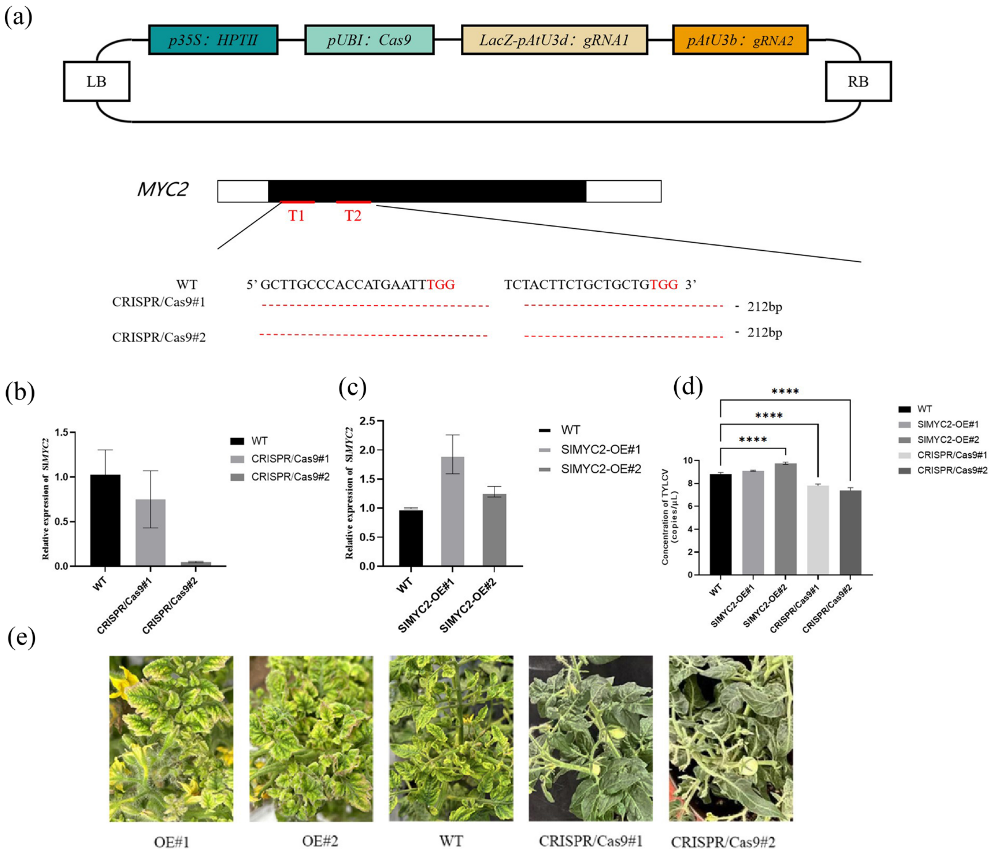 Plants 14 01353 g007