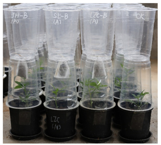 Plants 14 01355 g0a1