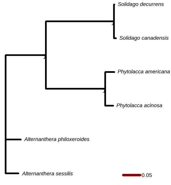 Plants 14 01355 g0a4