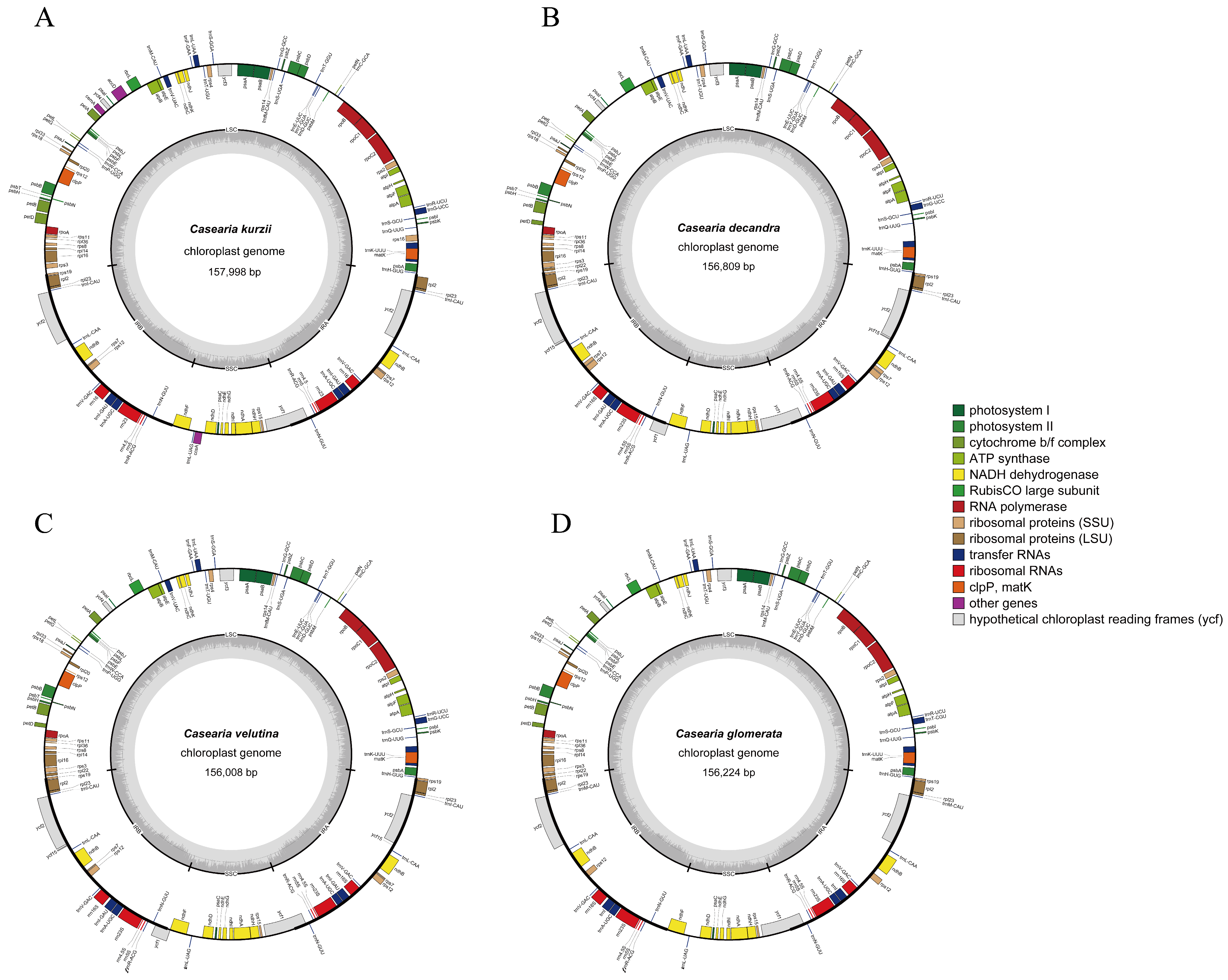 Plants 14 01356 g002