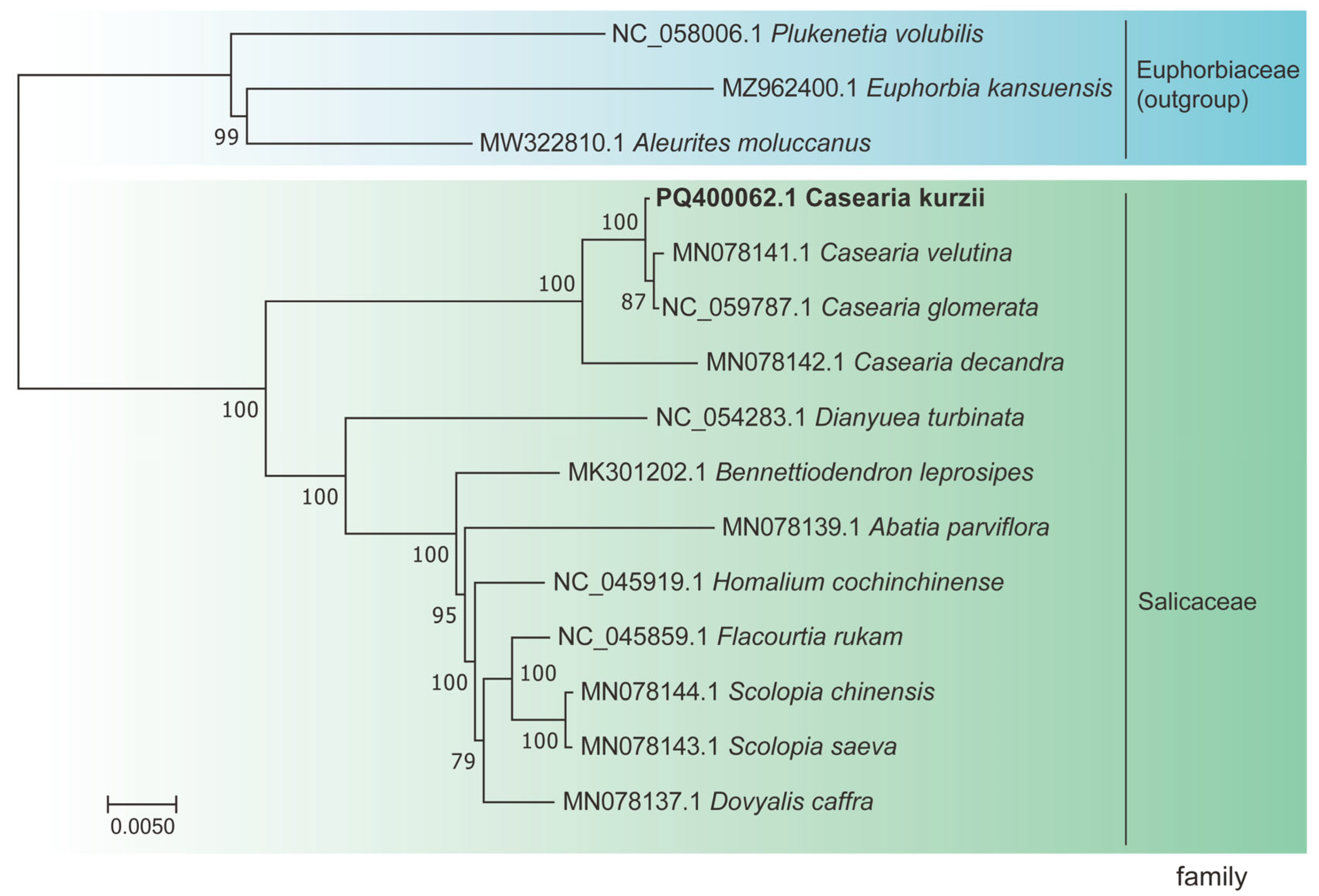 Plants 14 01356 g009