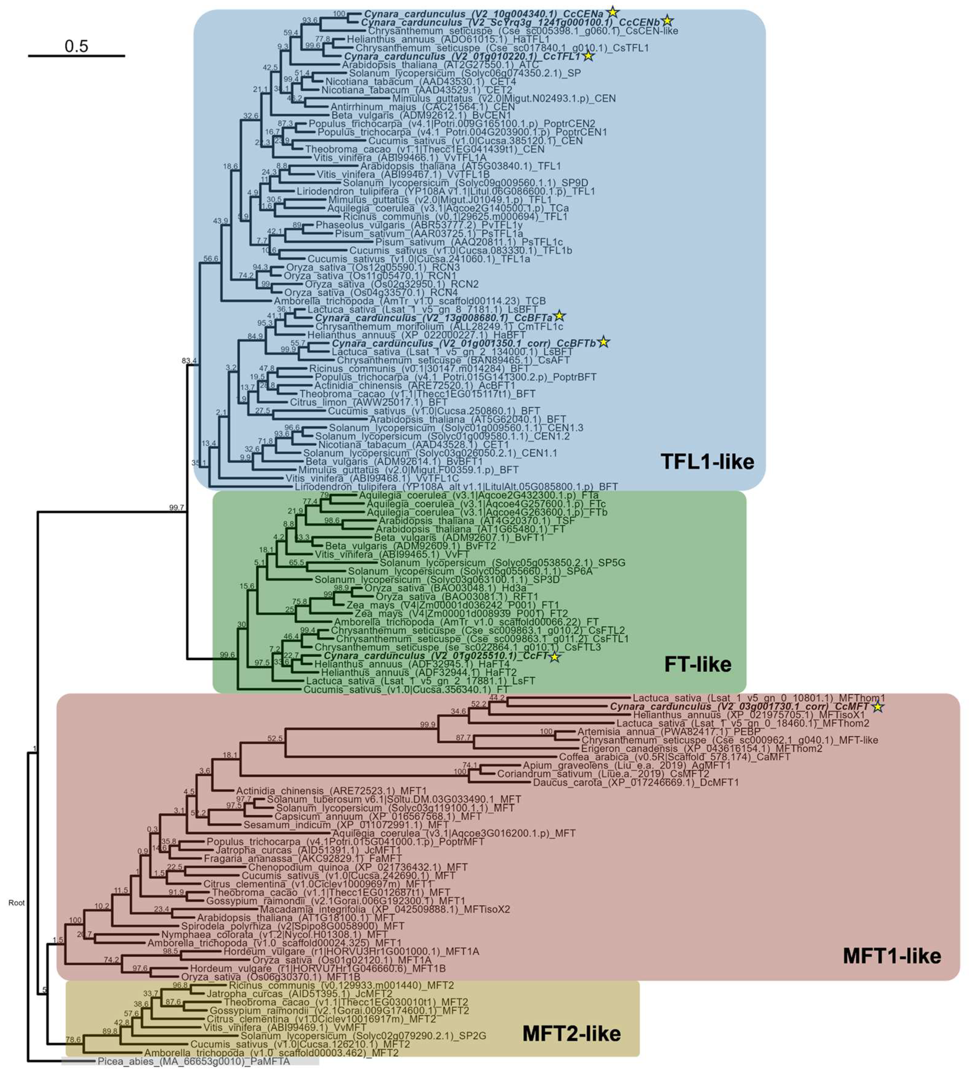 Plants 14 01364 g001
