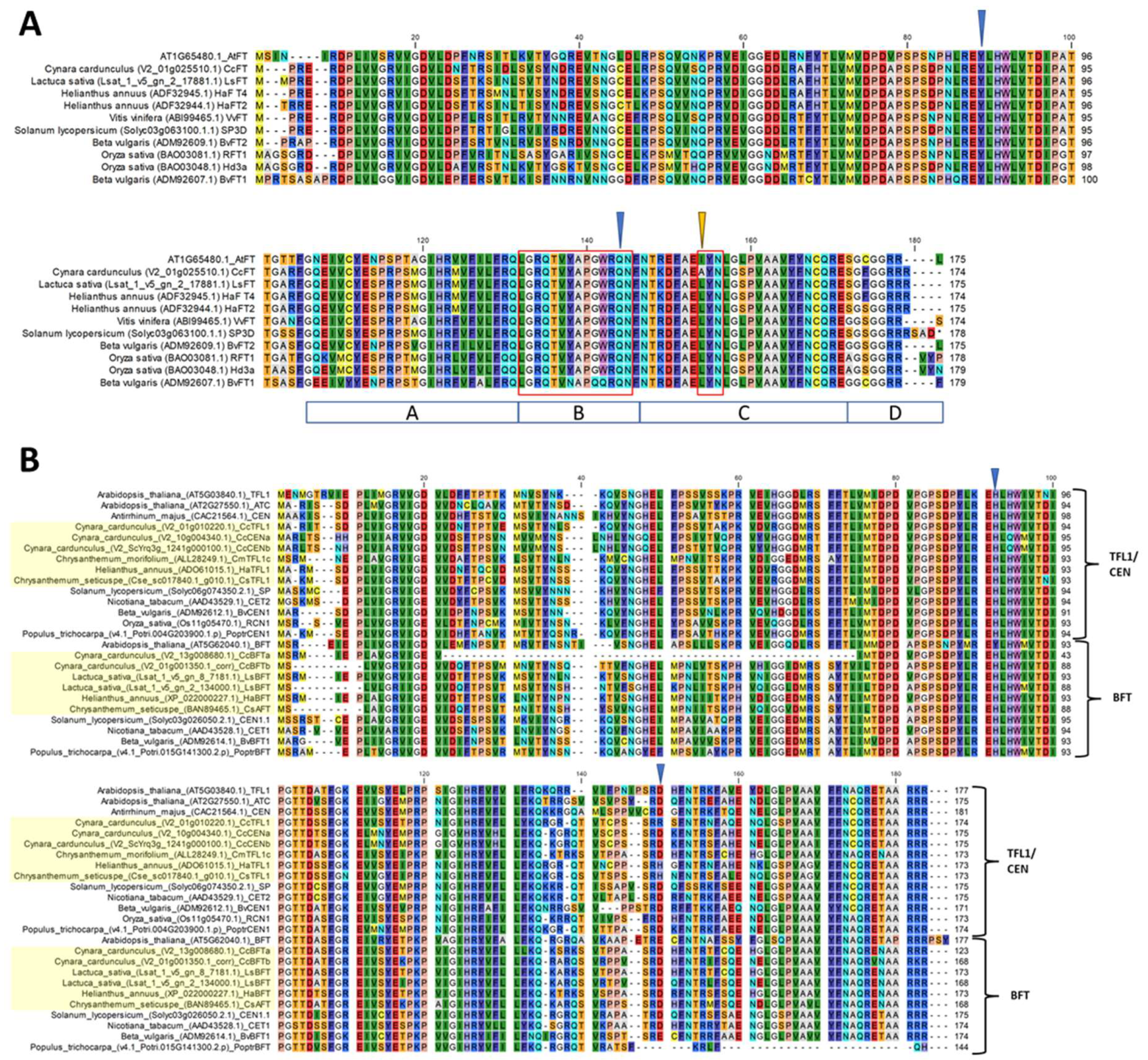 Plants 14 01364 g003