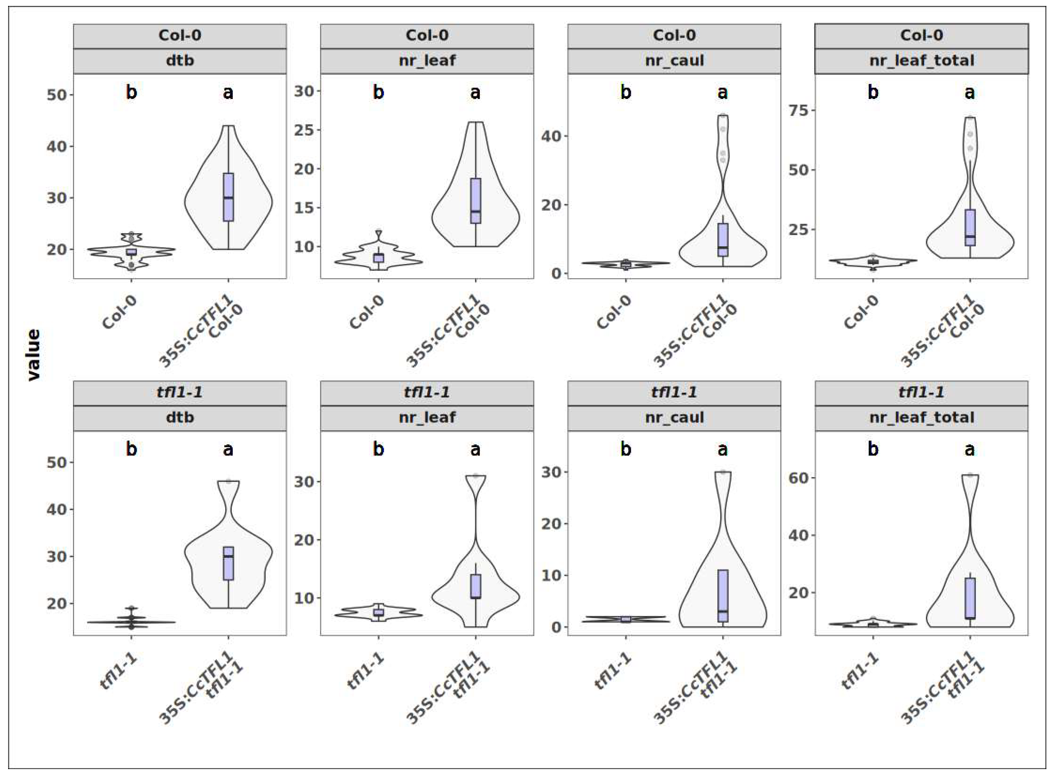 Plants 14 01364 g007