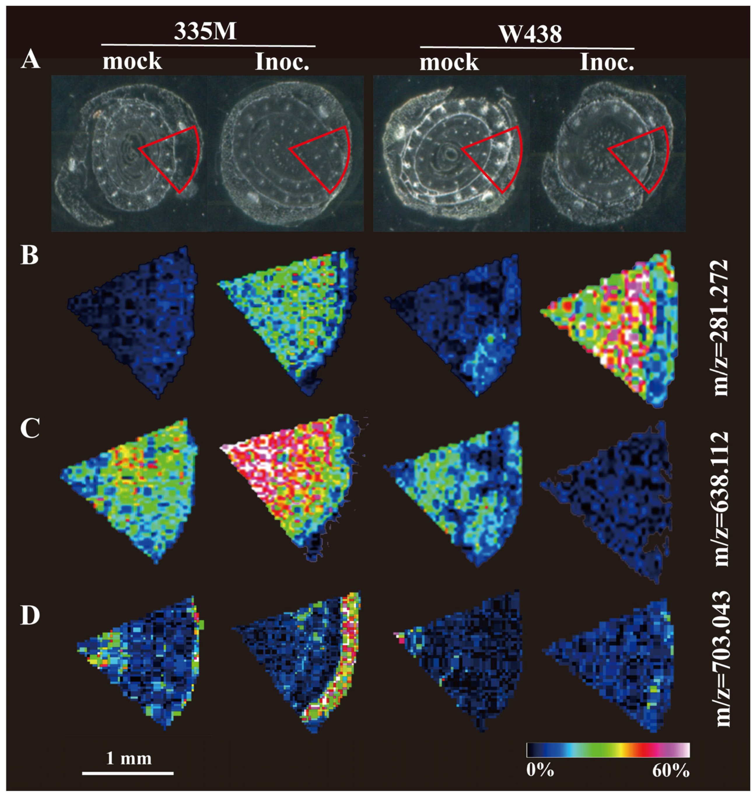 Plants 14 01376 g004