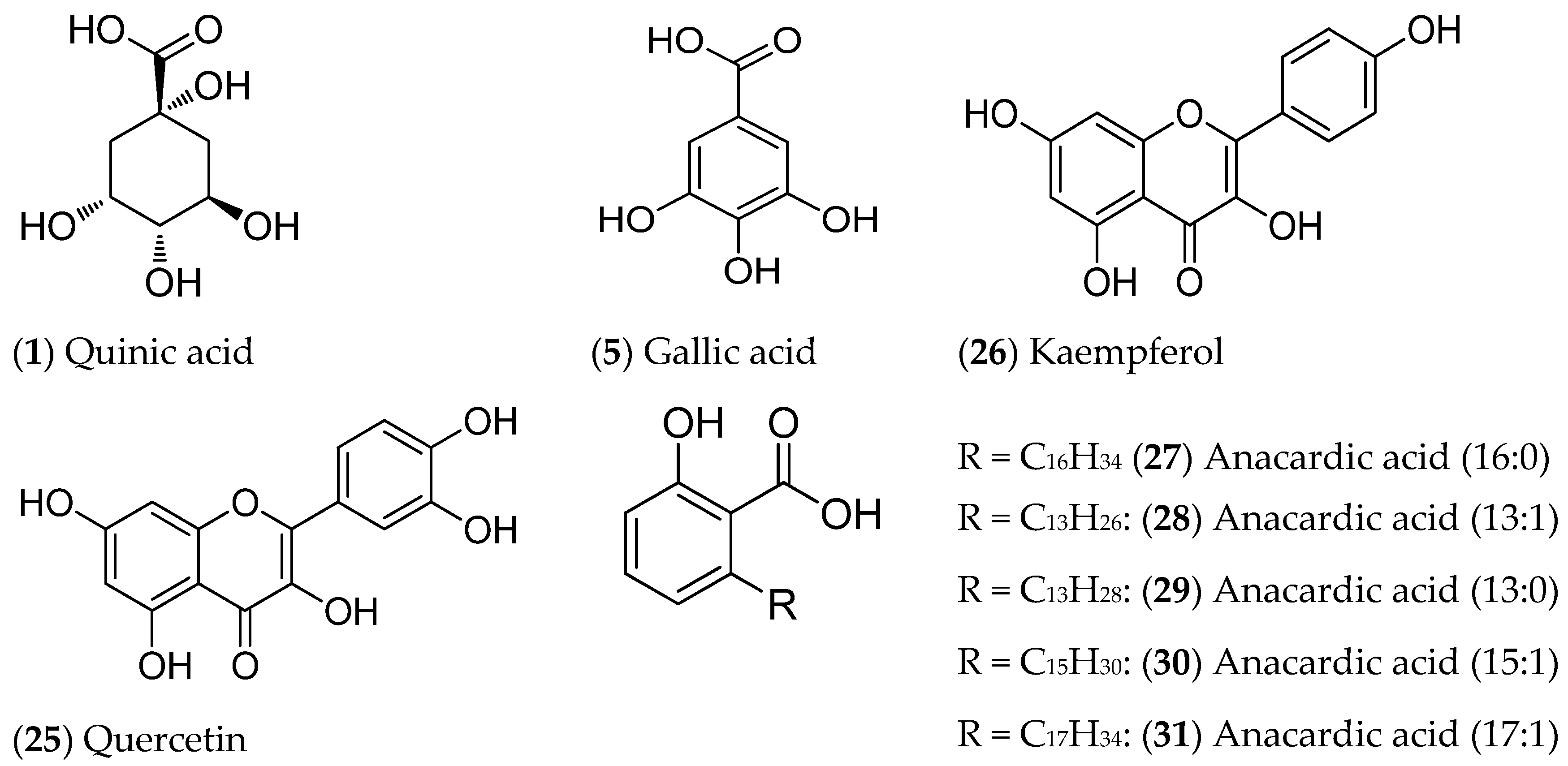 Plants 14 01420 g003