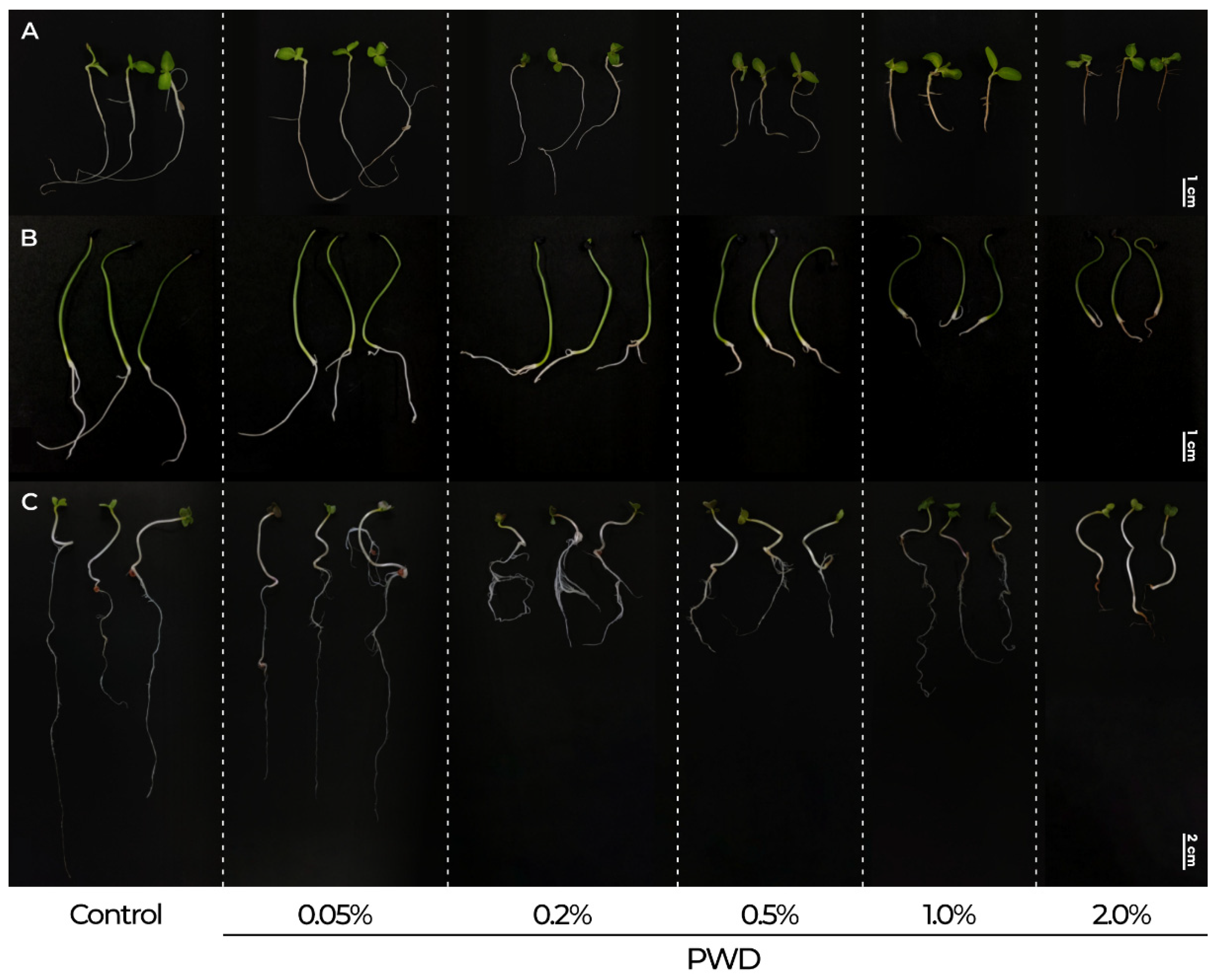 Plants 14 01420 g009