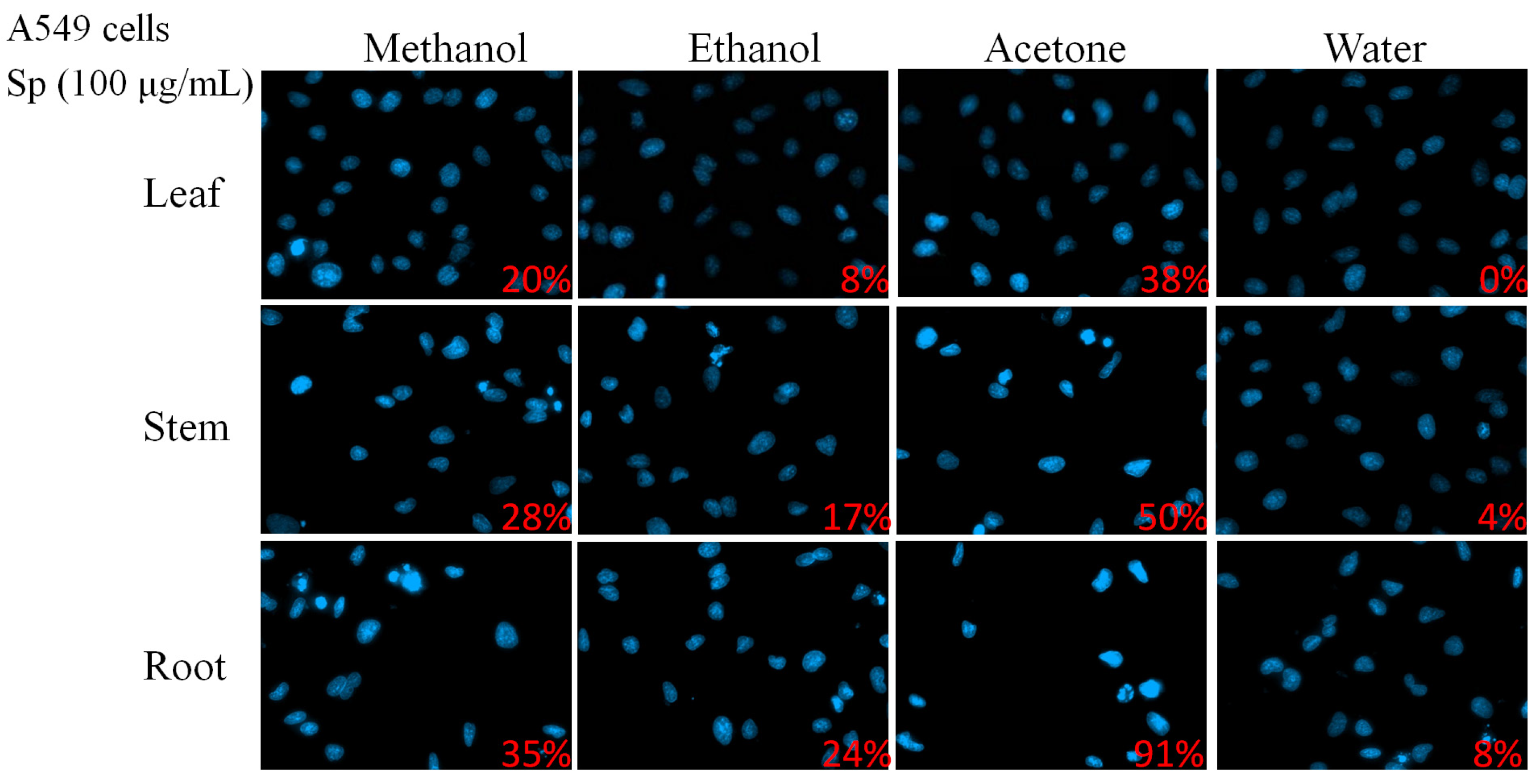 Plants 14 01426 g004