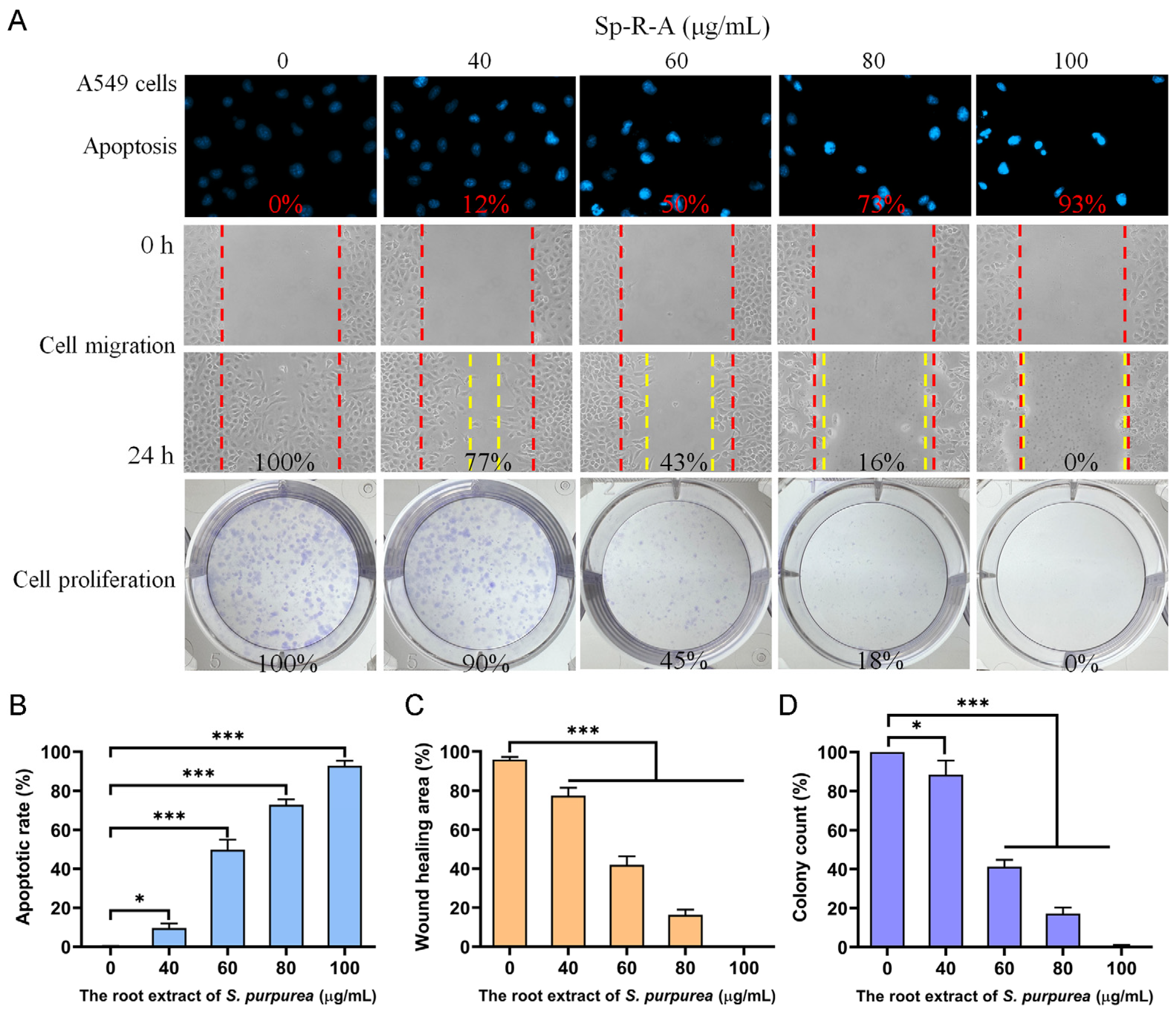 Plants 14 01426 g007
