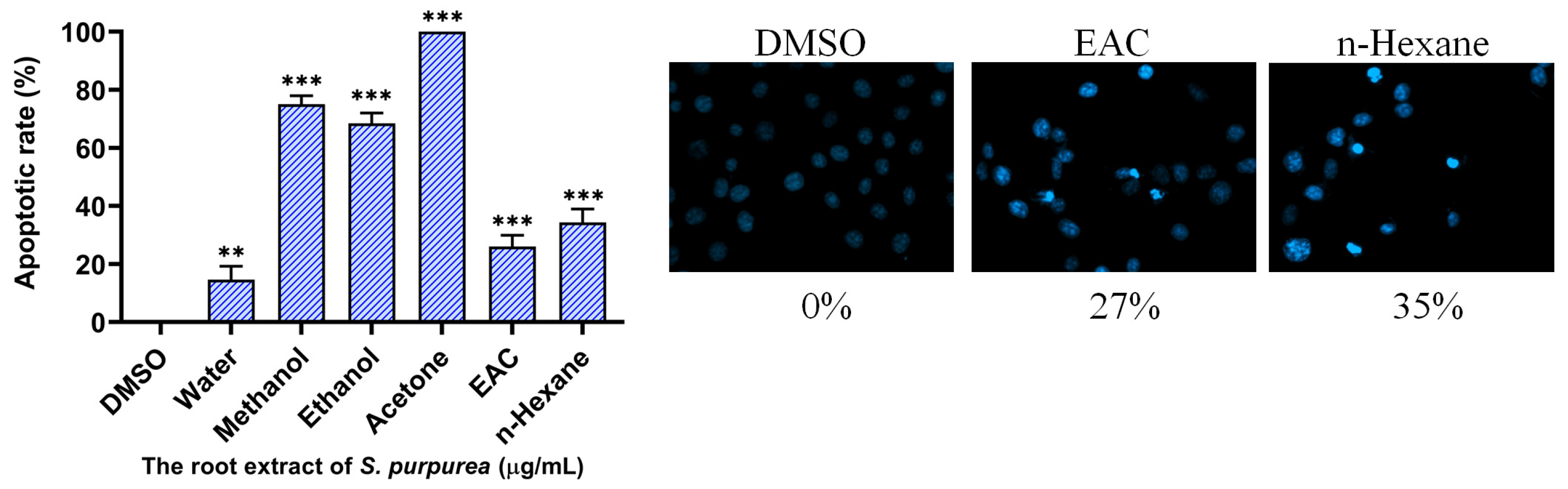 Plants 14 01426 g009